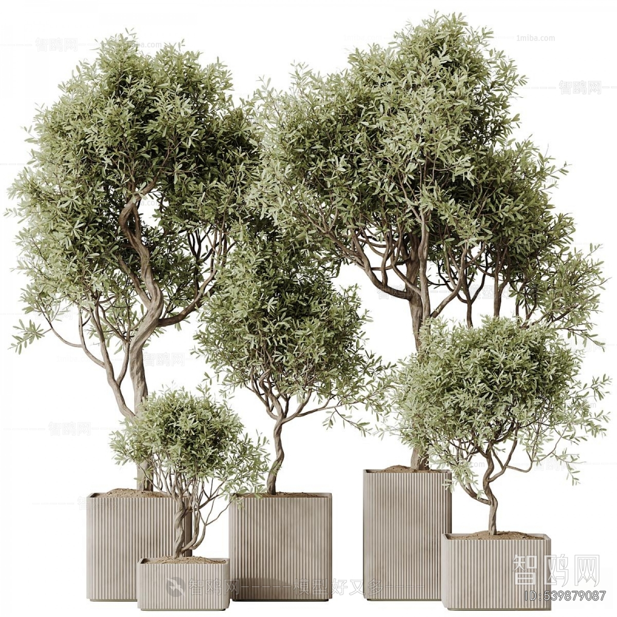 Modern Ground Green Plant Potted Plants