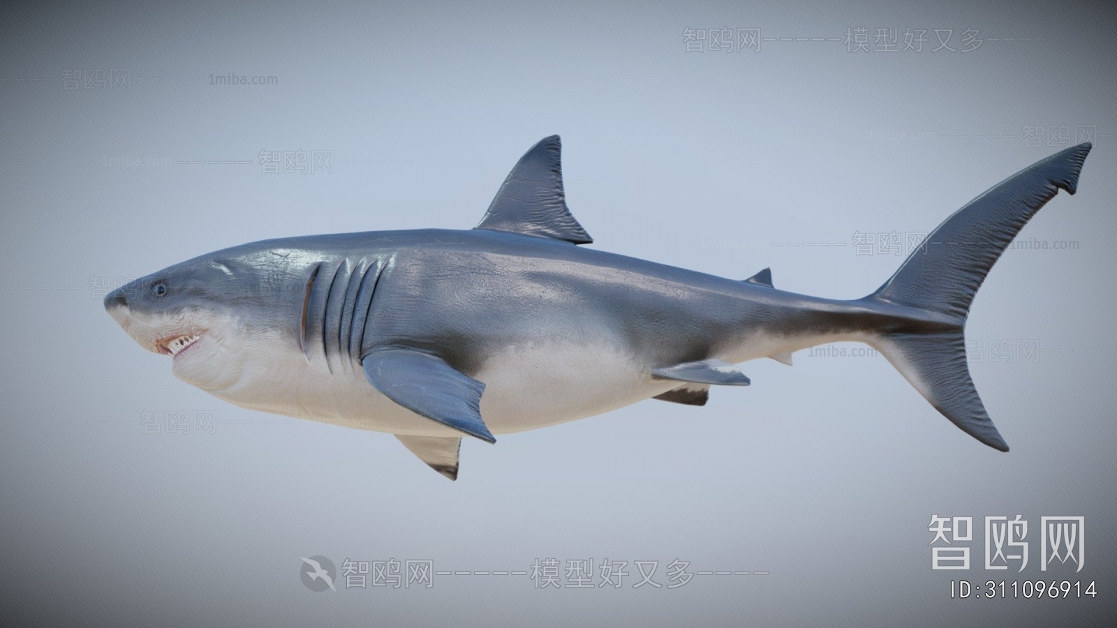 Modern Aquatic Animals