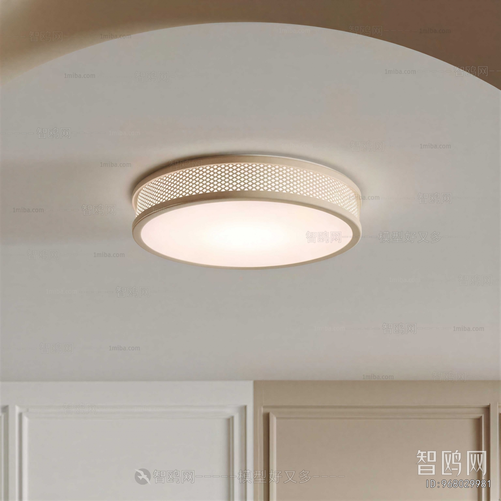 Modern Ceiling Ceiling Lamp