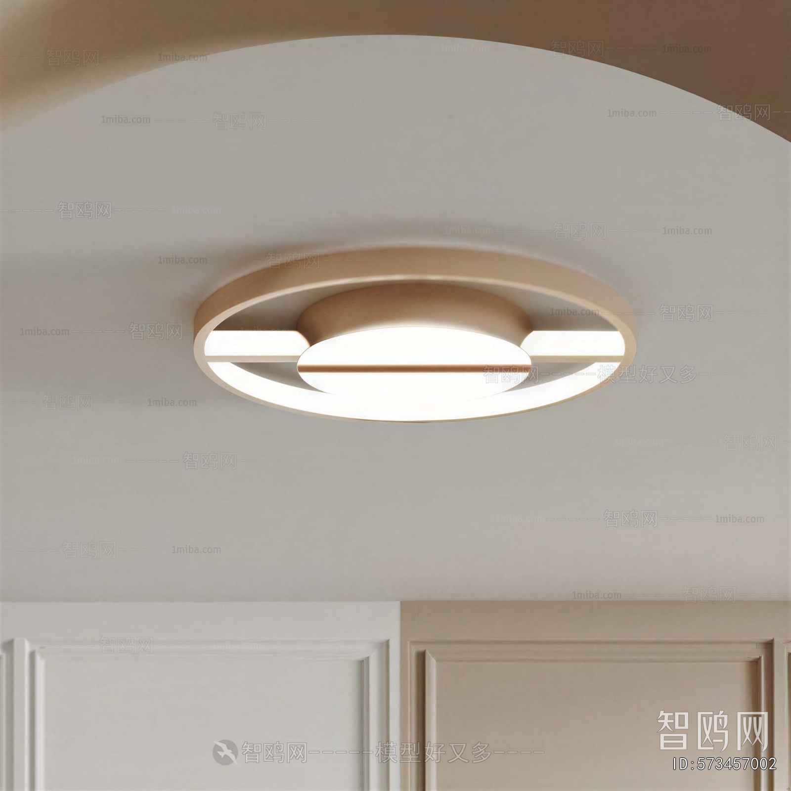 Modern Ceiling Ceiling Lamp