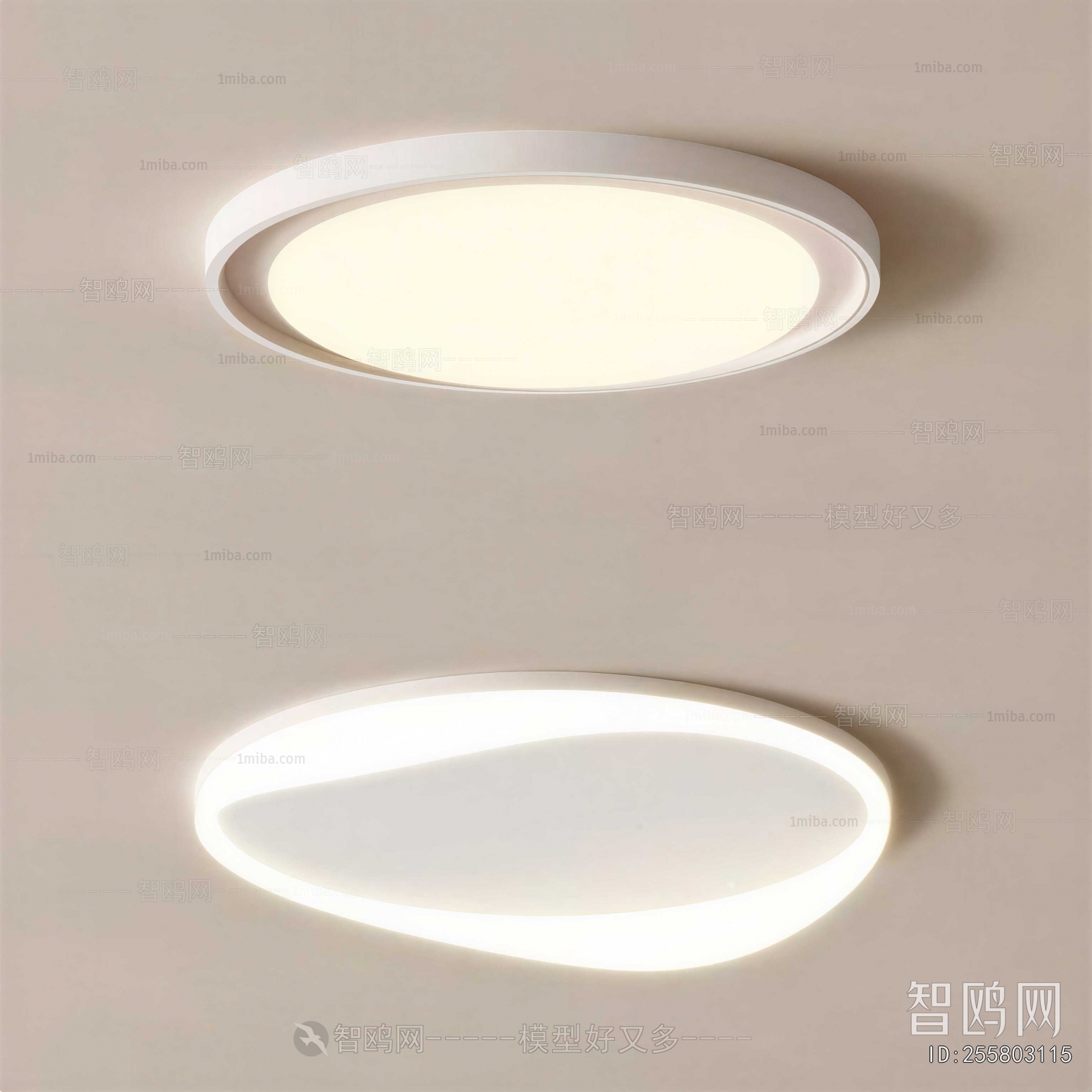 Modern Ceiling Ceiling Lamp
