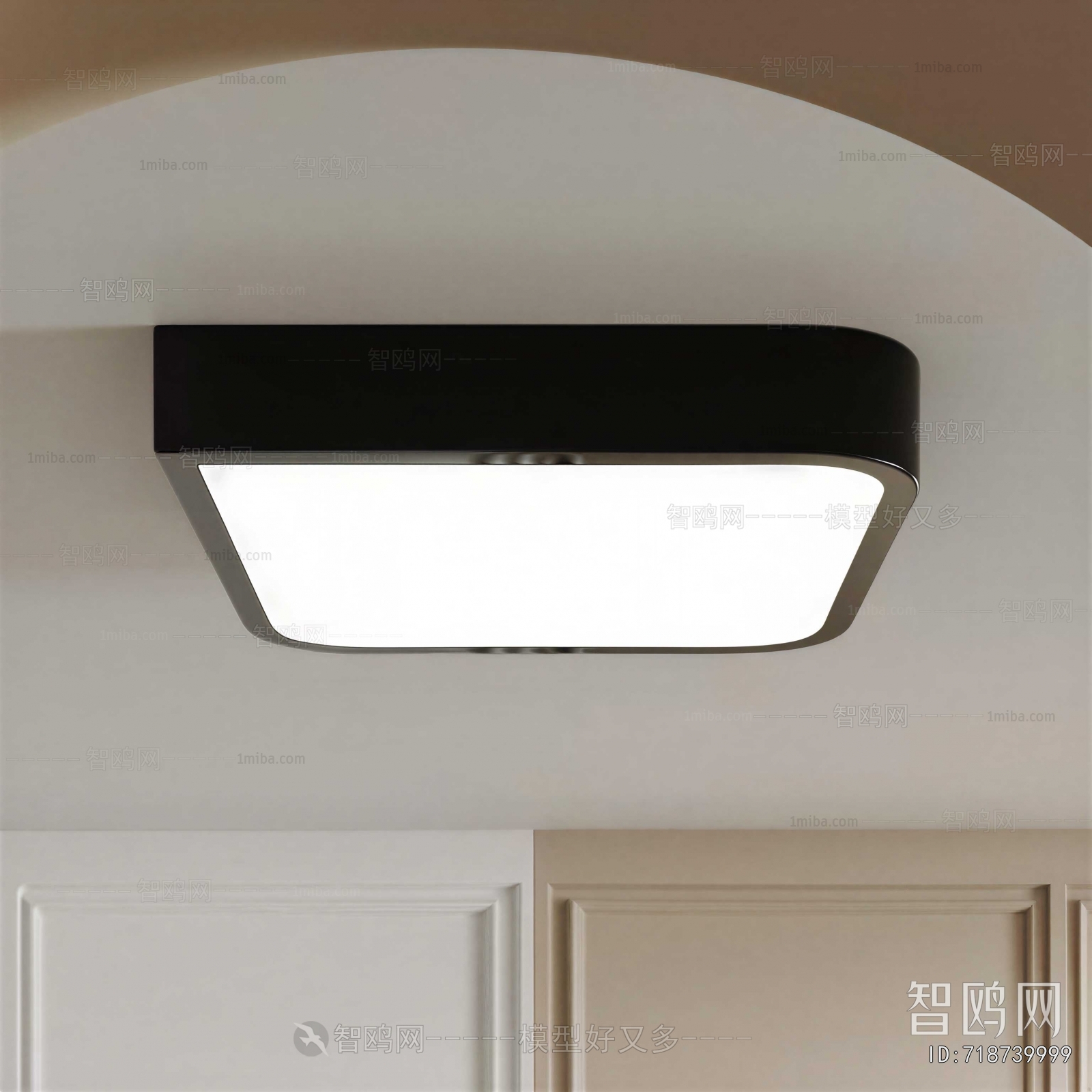 Modern Ceiling Ceiling Lamp