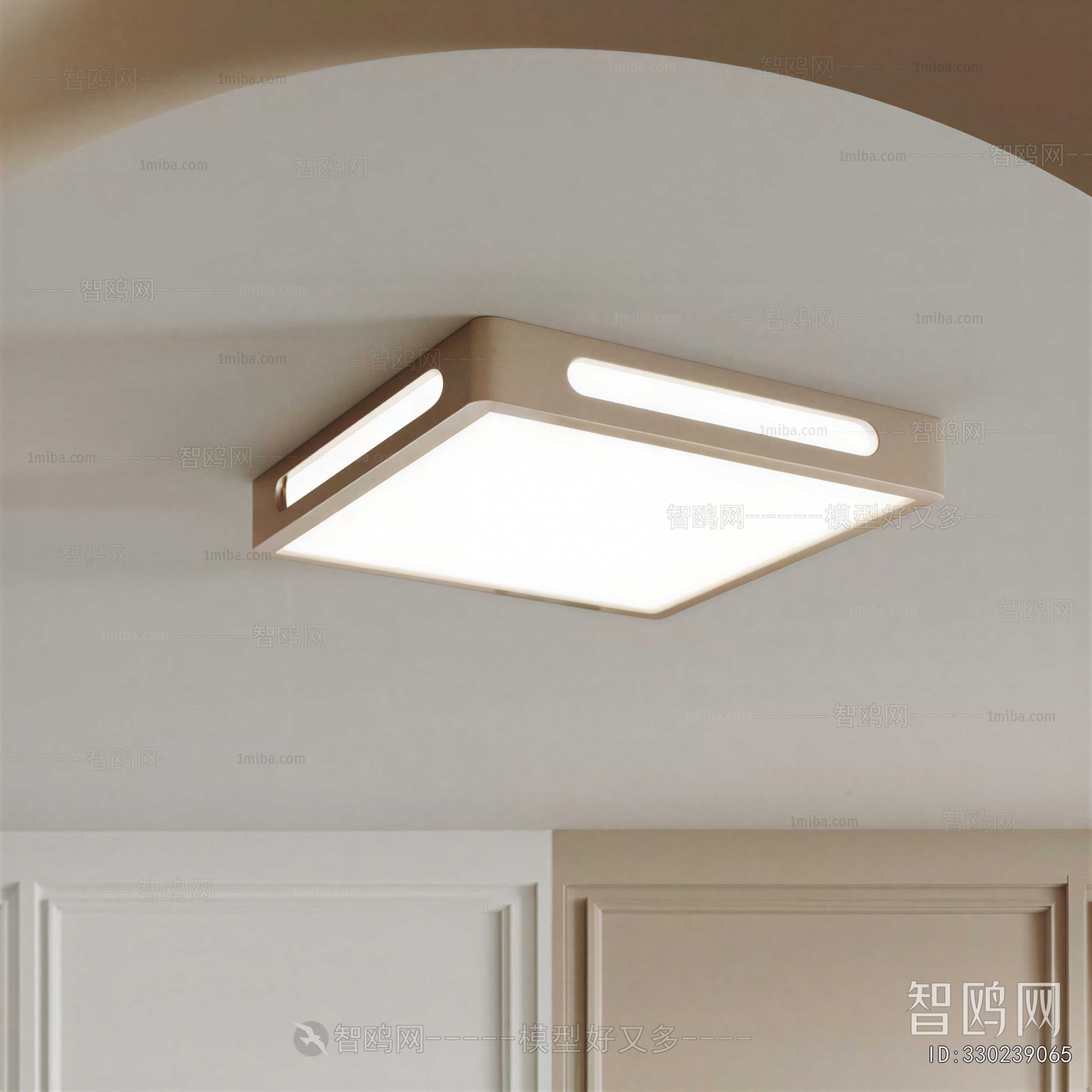 Modern Ceiling Ceiling Lamp