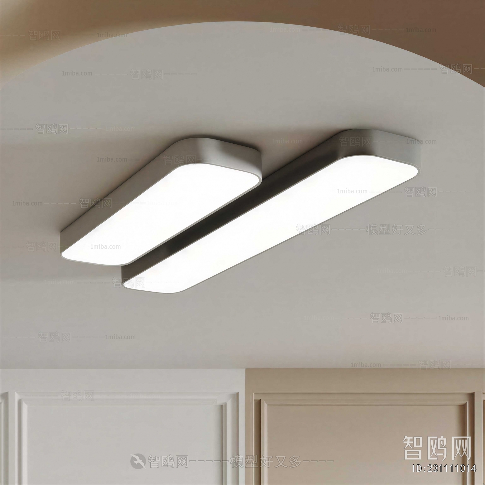 Modern Ceiling Ceiling Lamp