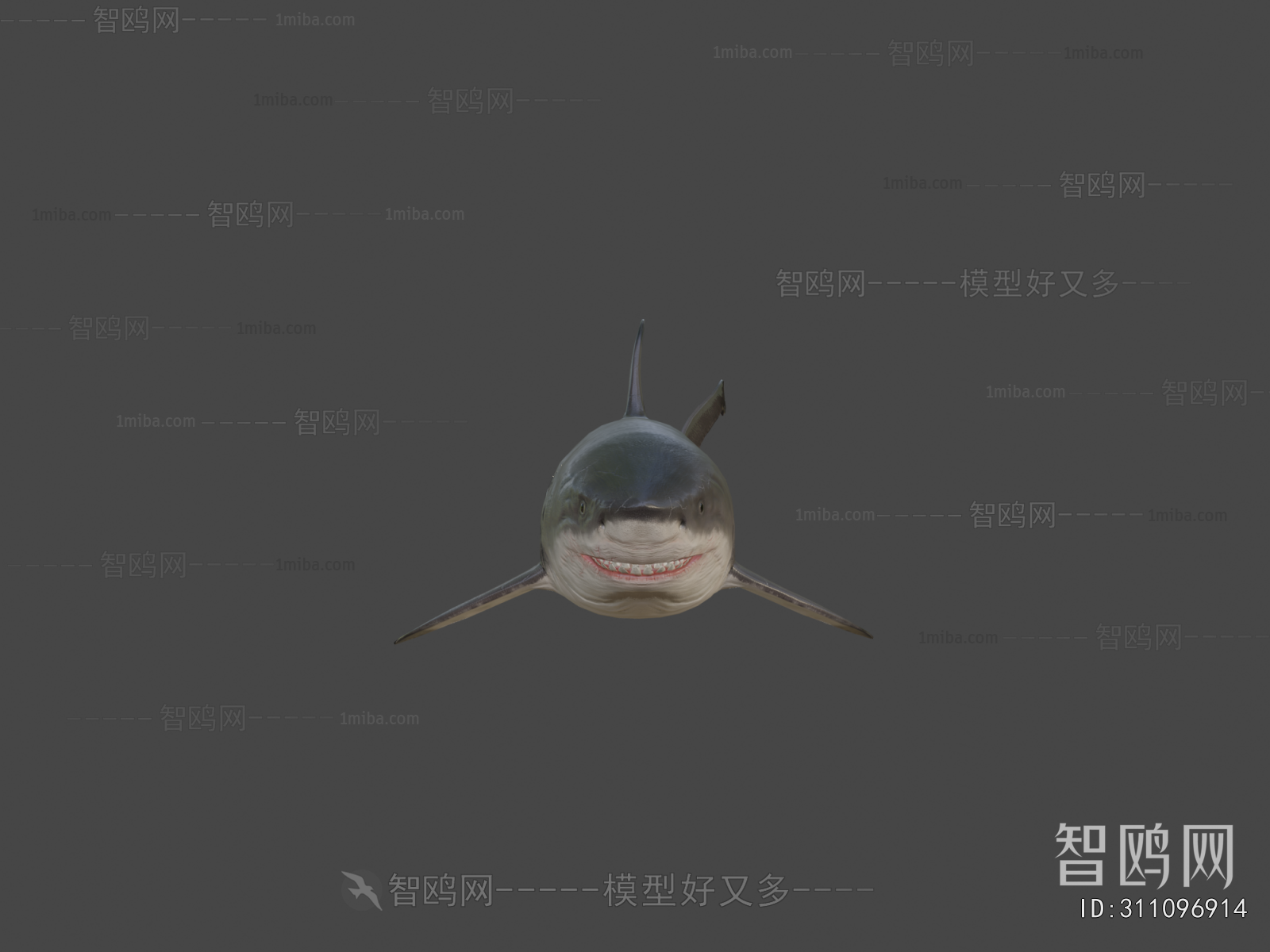 Modern Aquatic Animals