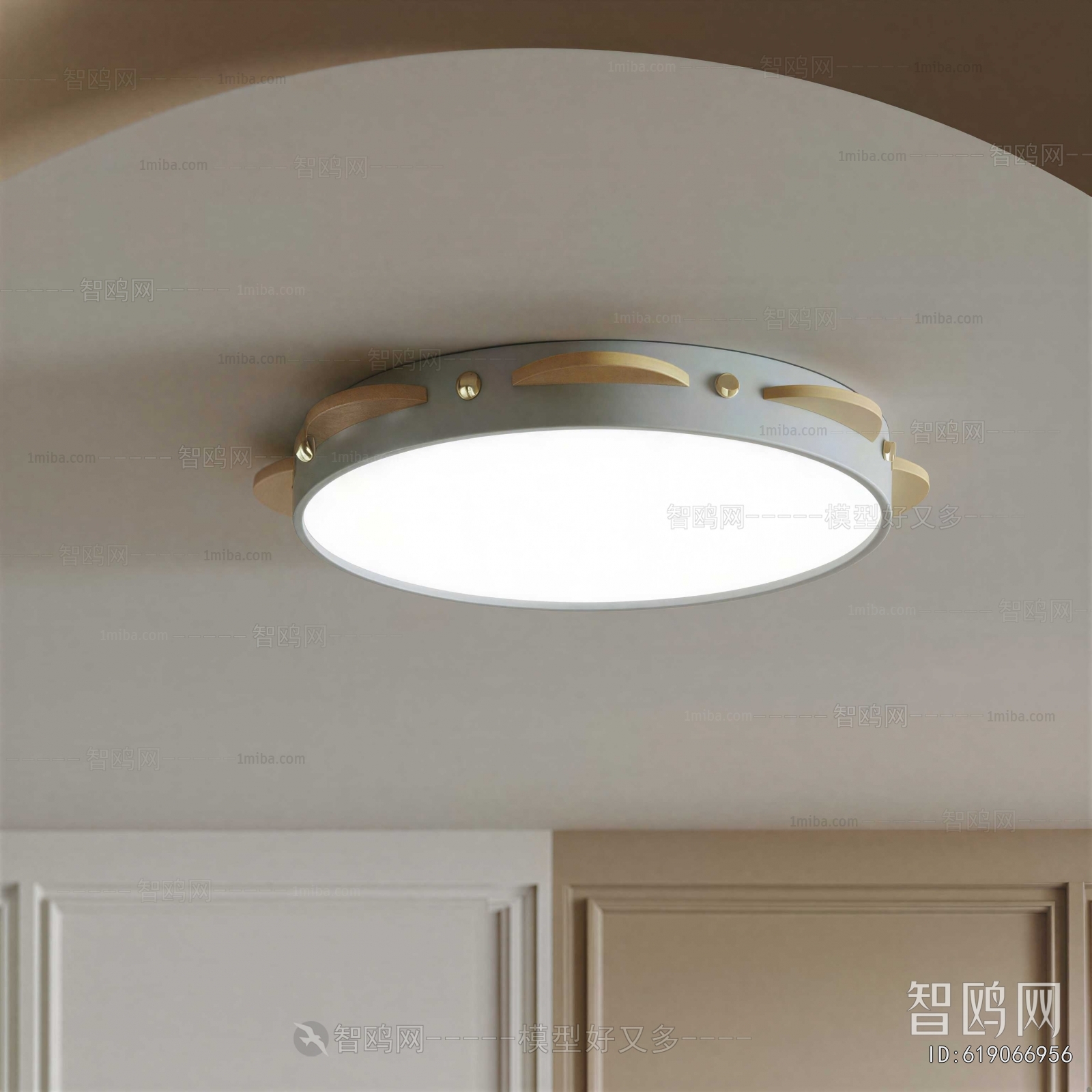 Modern Ceiling Ceiling Lamp