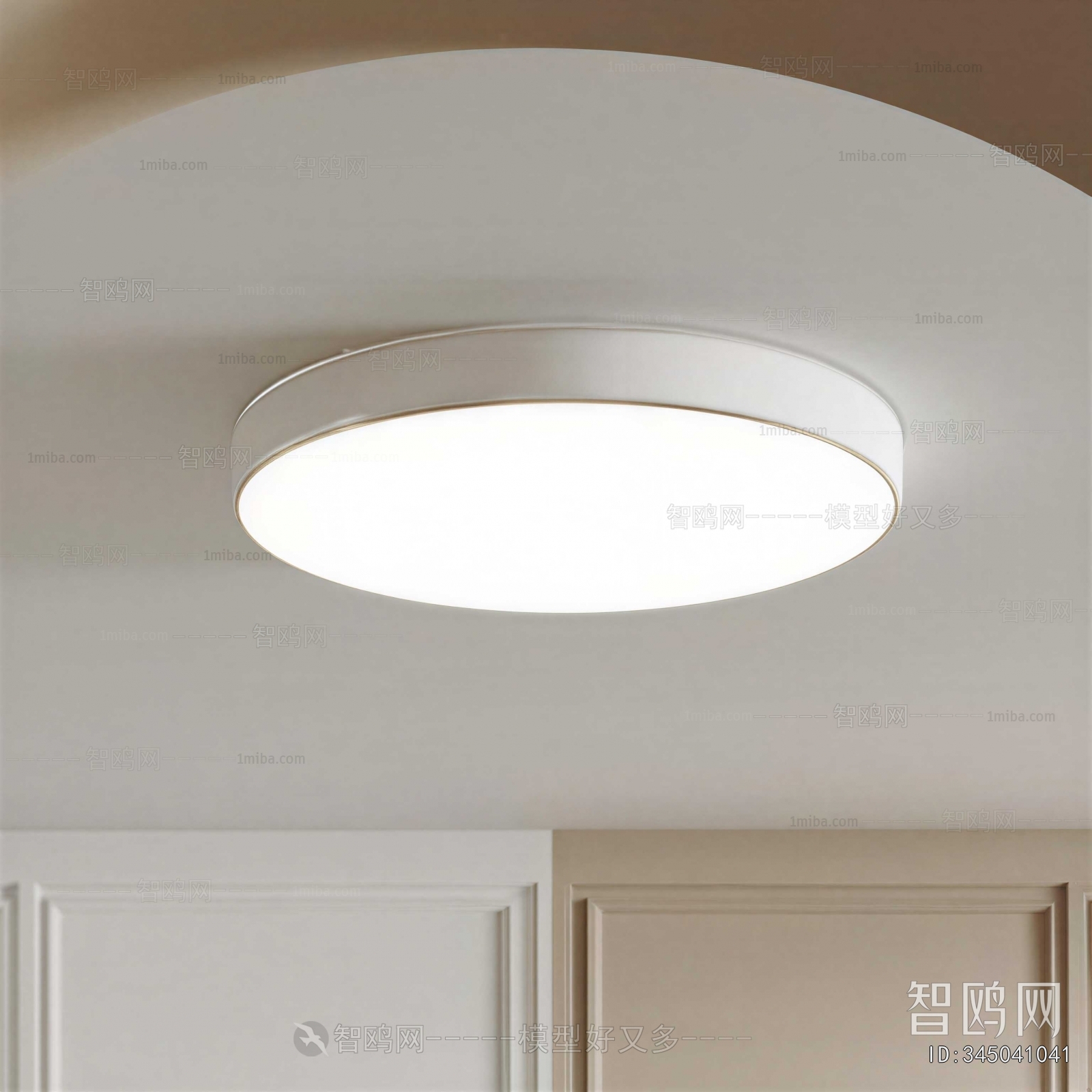 Modern Ceiling Ceiling Lamp