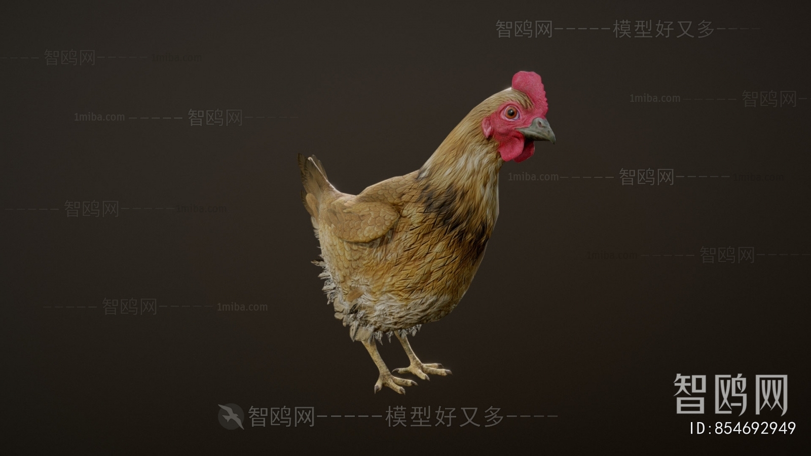 Modern Poultry Animal
