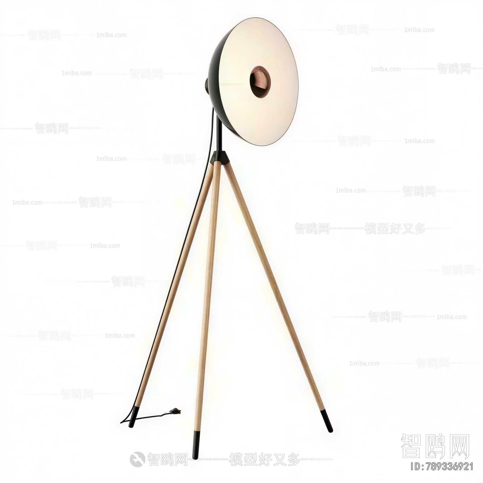 Modern Floor Lamp