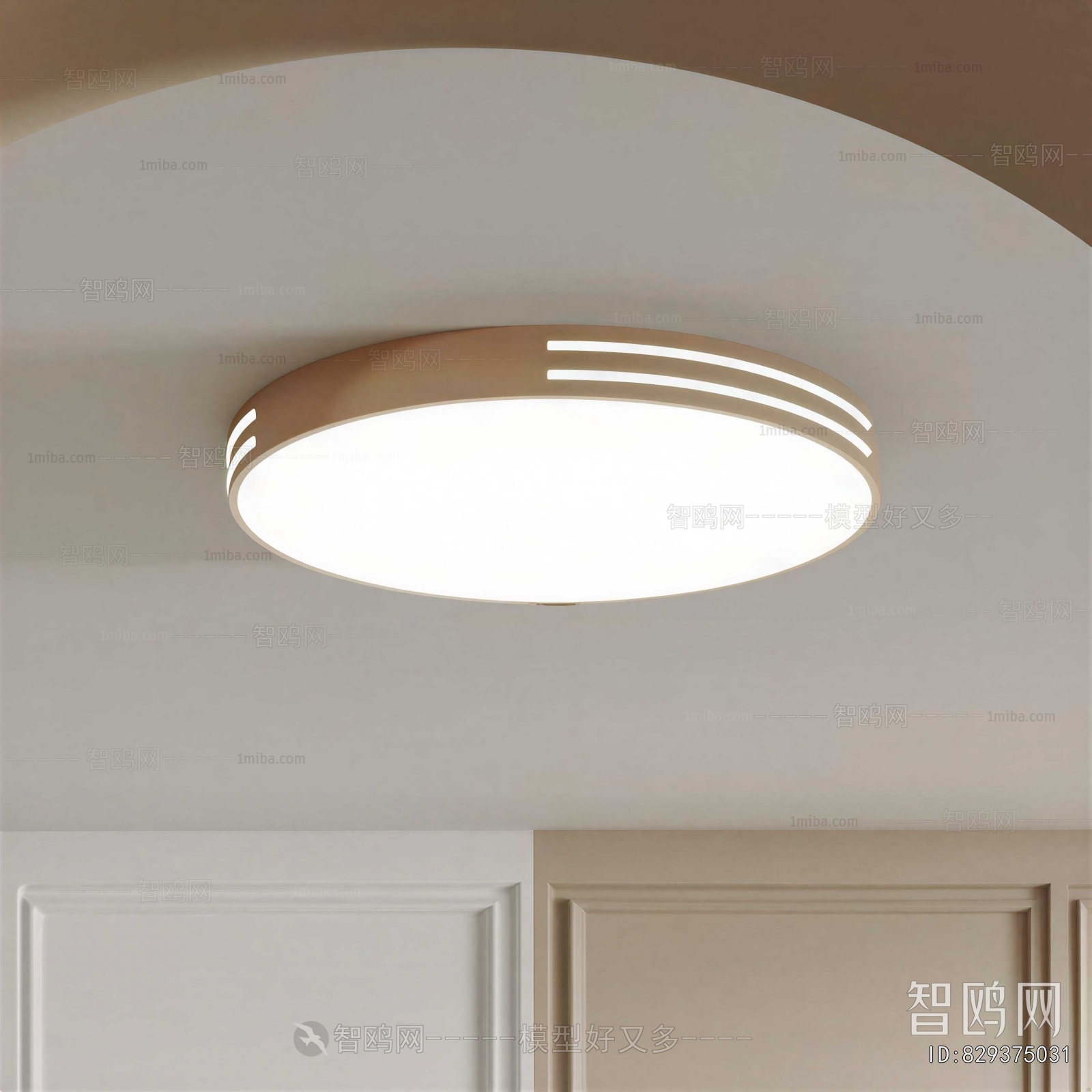 Modern Ceiling Ceiling Lamp