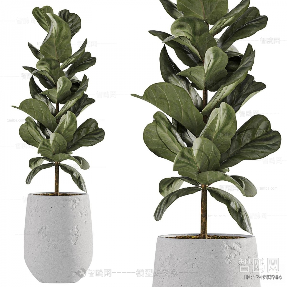 Modern Ground Green Plant Potted Plants