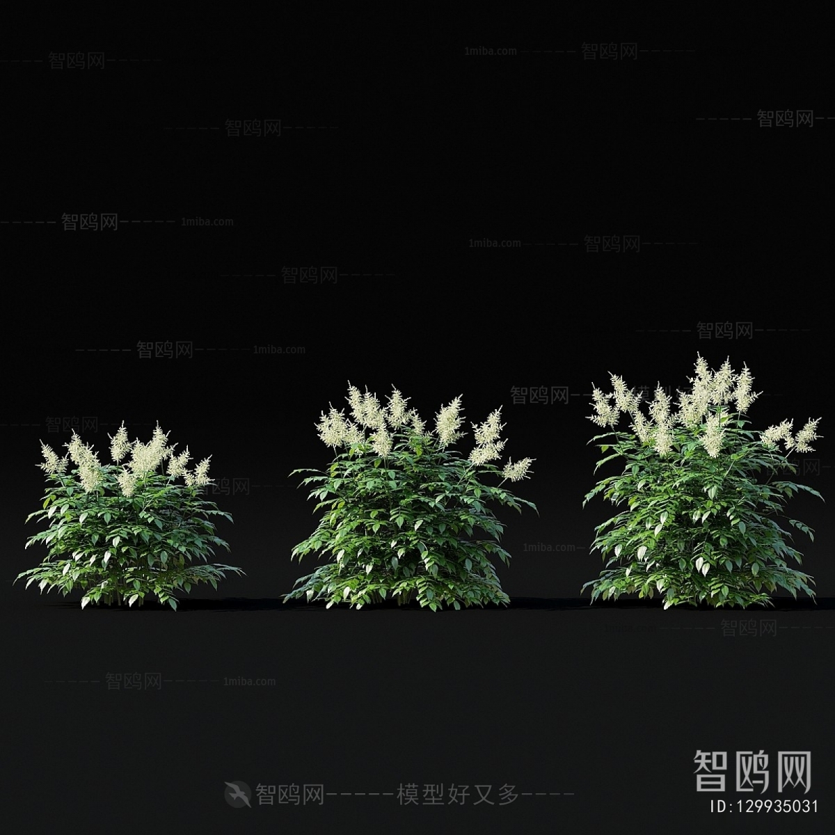 Modern Flowers And Grass