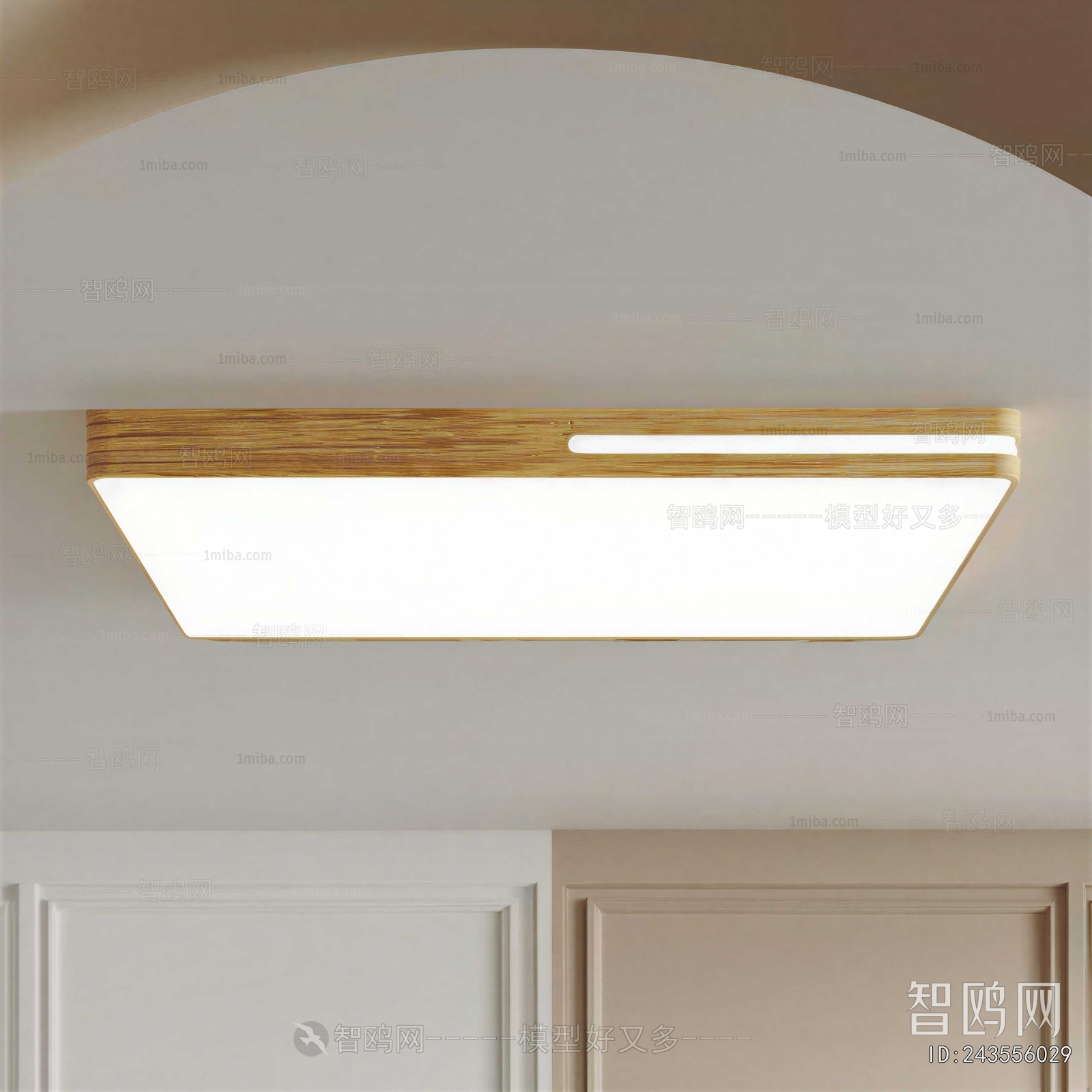 Modern Ceiling Ceiling Lamp