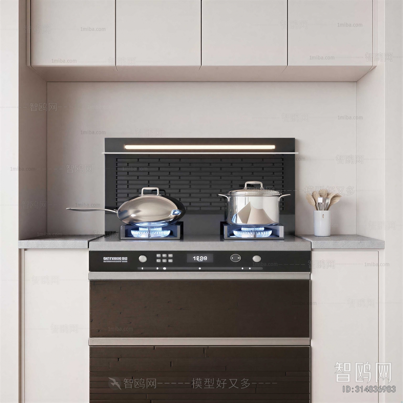 Modern Kitchen Electric Gas Range