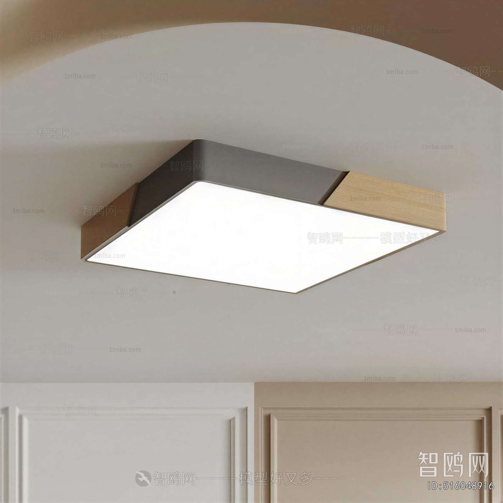 Modern Ceiling Ceiling Lamp