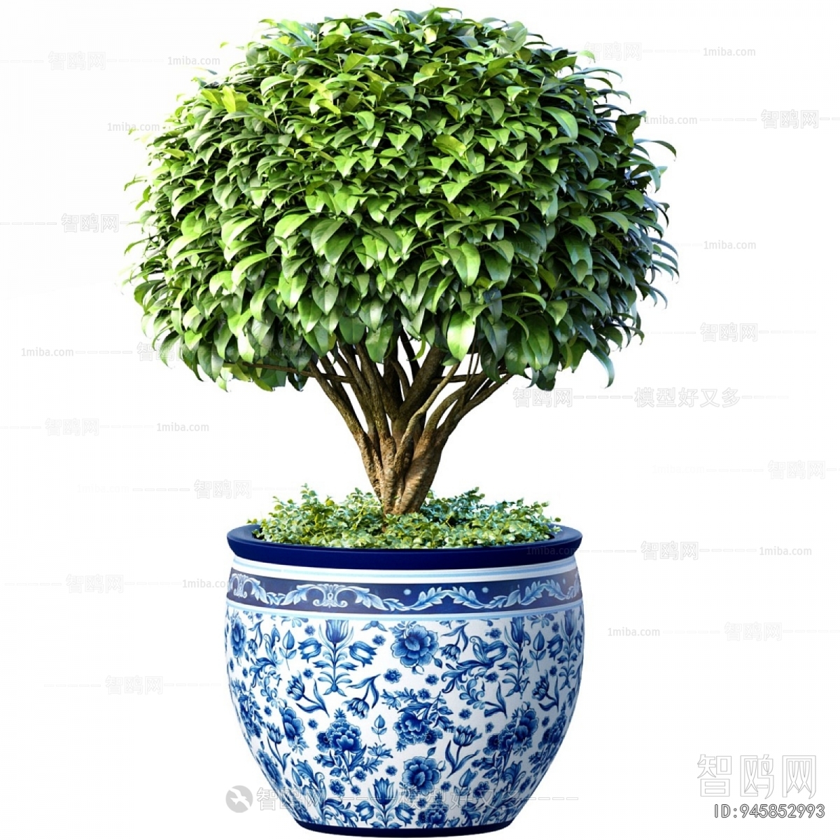 Modern Ground Green Plant Potted Plants