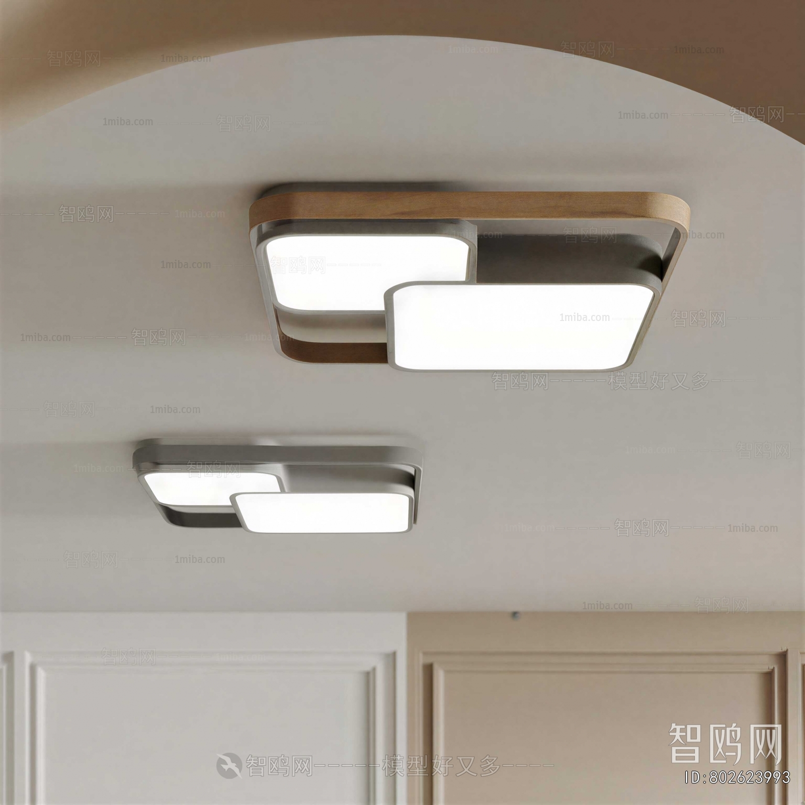 Modern Ceiling Ceiling Lamp