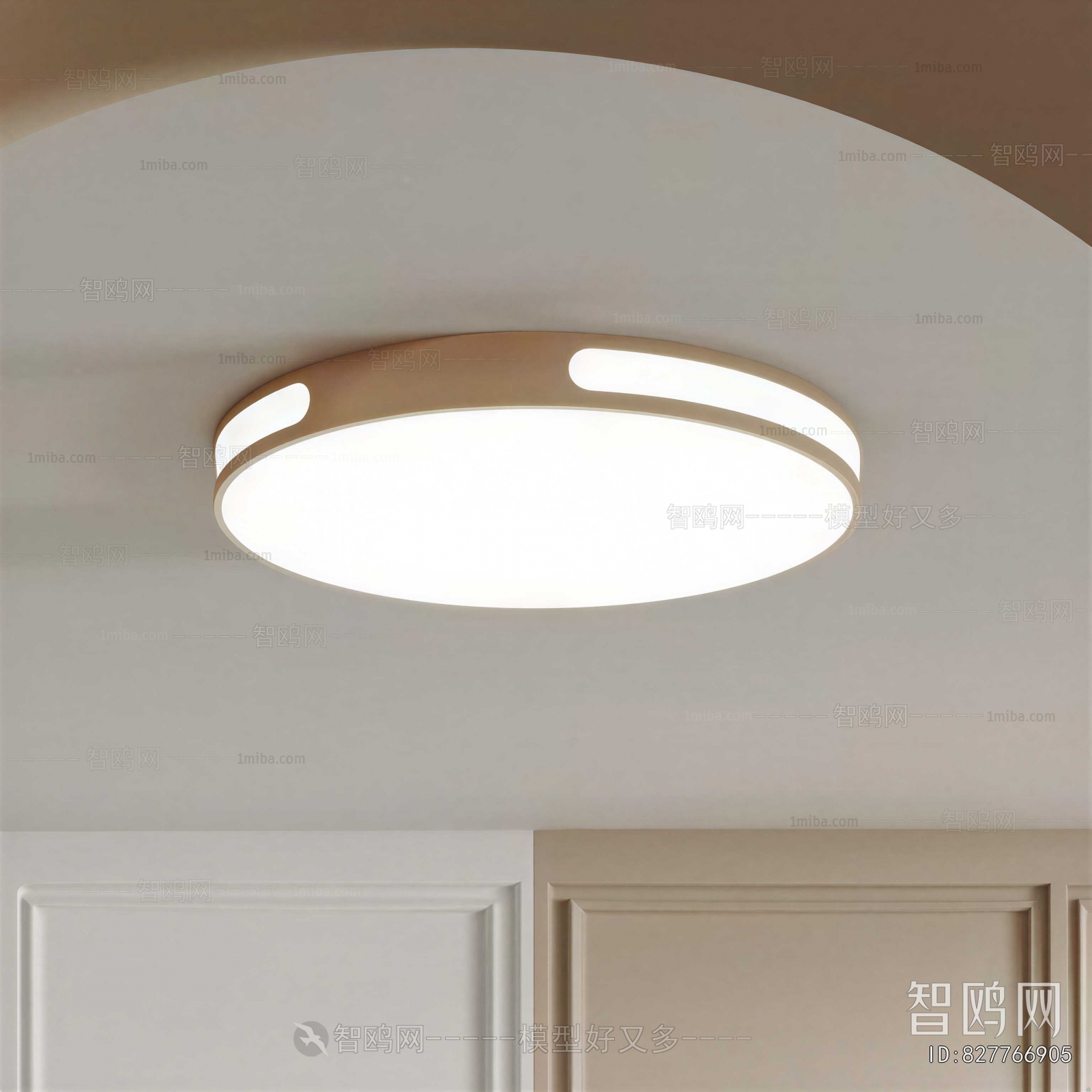 Modern Ceiling Ceiling Lamp