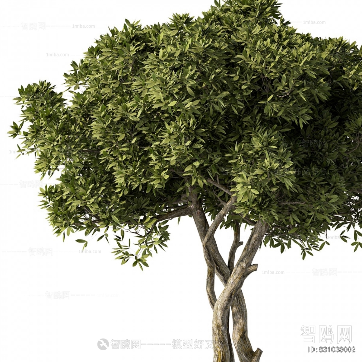 Modern Ground Green Plant Potted Plants