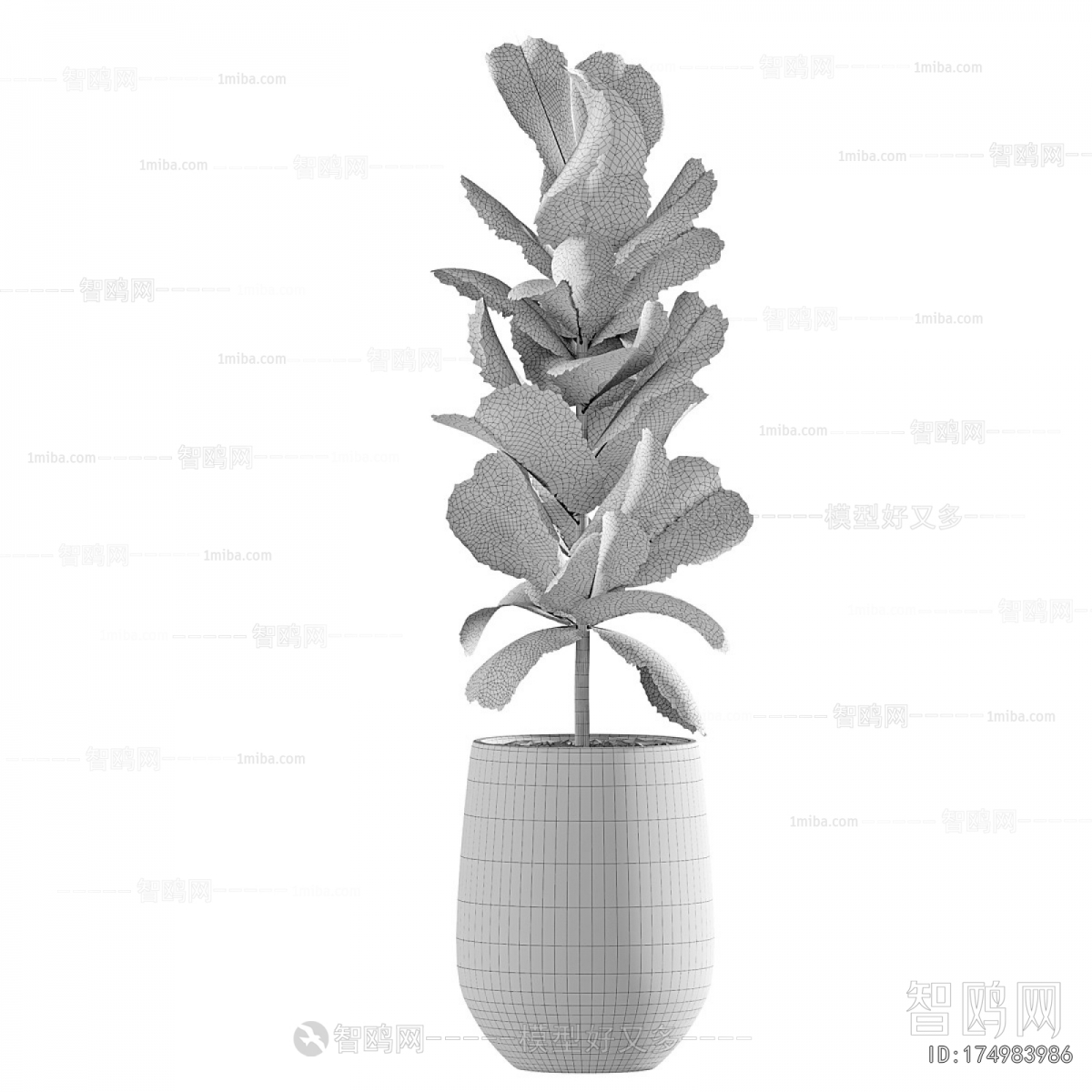 Modern Ground Green Plant Potted Plants
