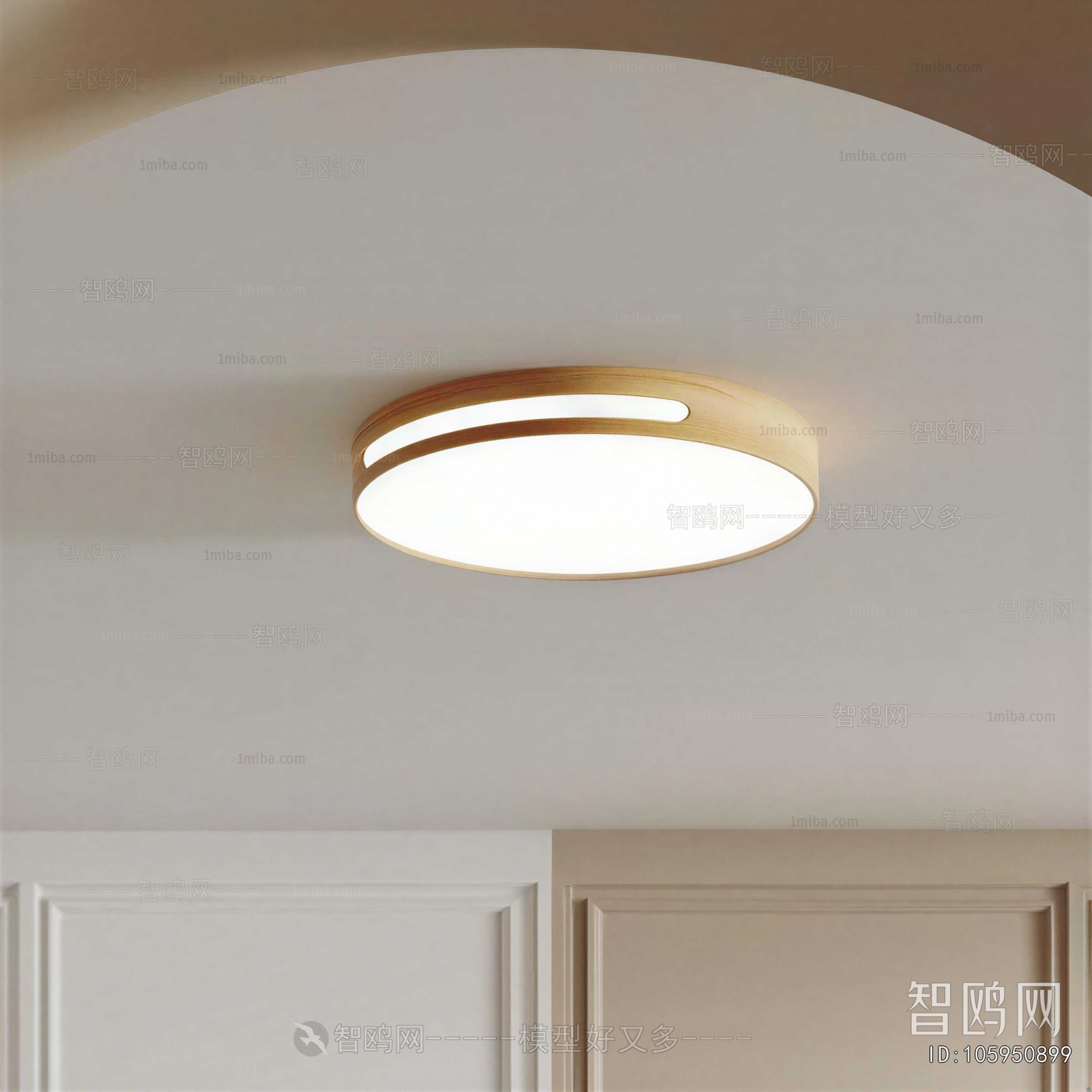 Modern Ceiling Ceiling Lamp