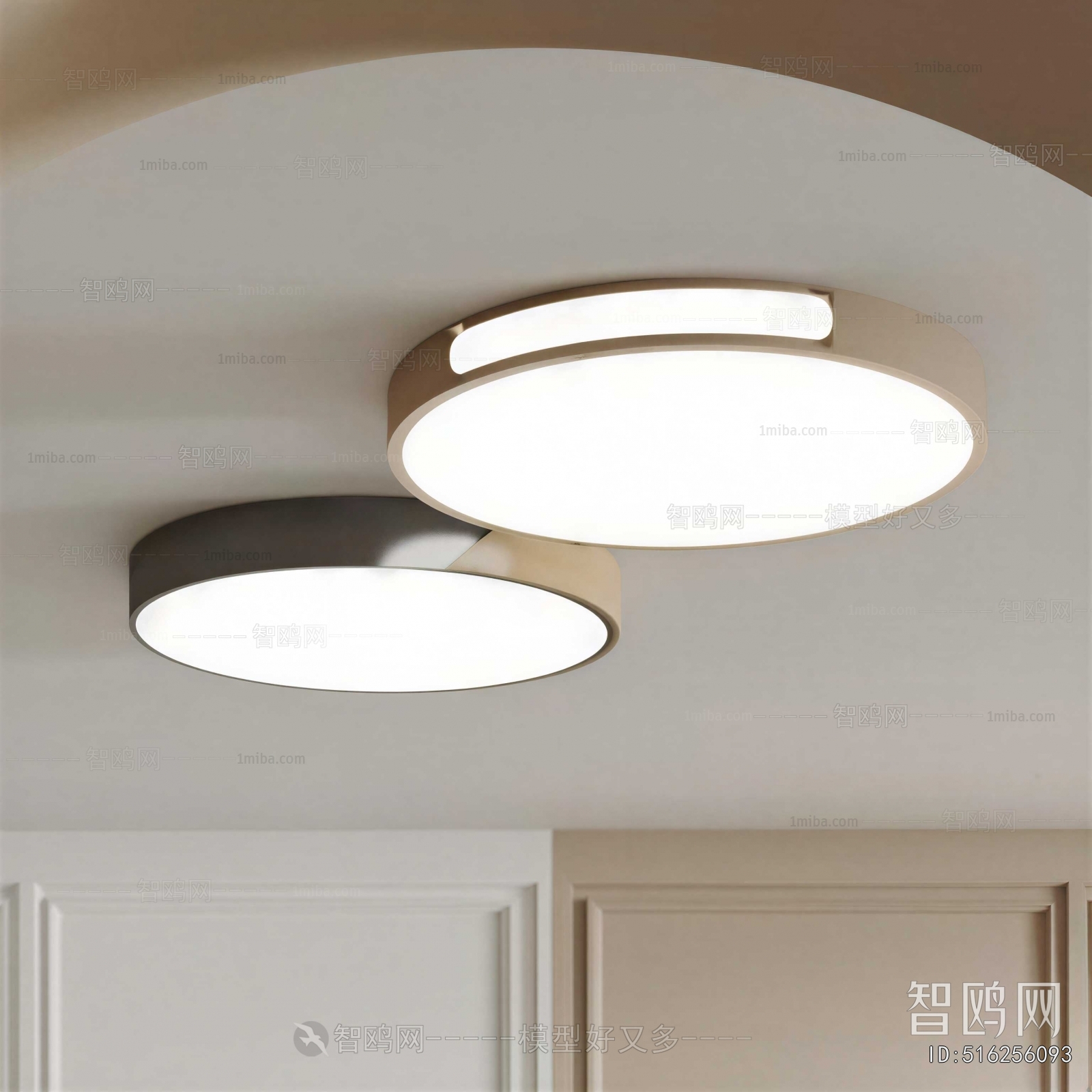 Modern Ceiling Ceiling Lamp