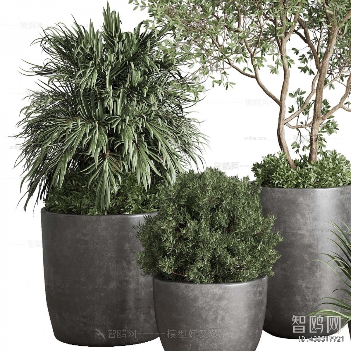 Modern Ground Green Plant Potted Plants