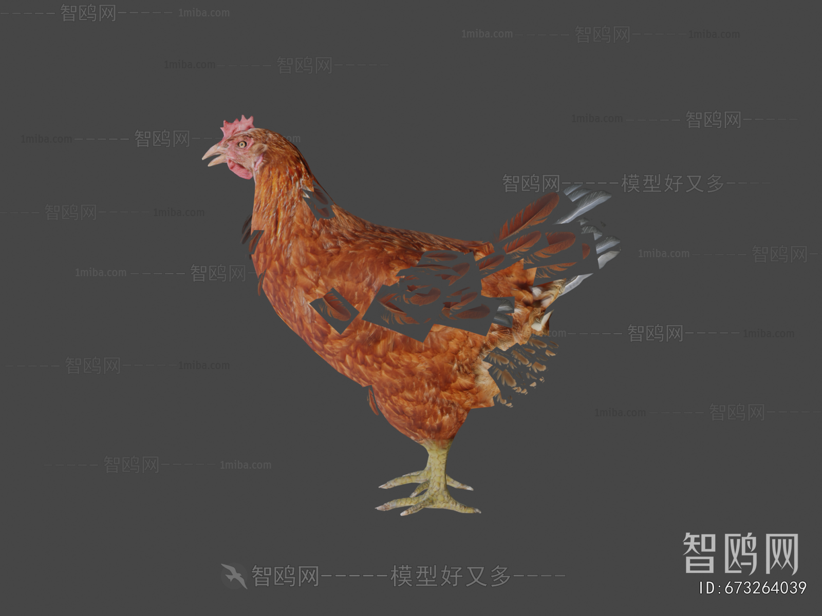 Modern Poultry Animal