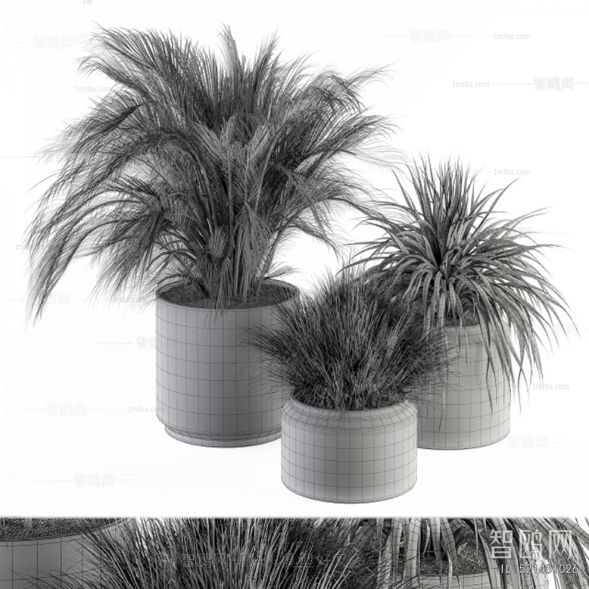 Modern Ground Green Plant Potted Plants