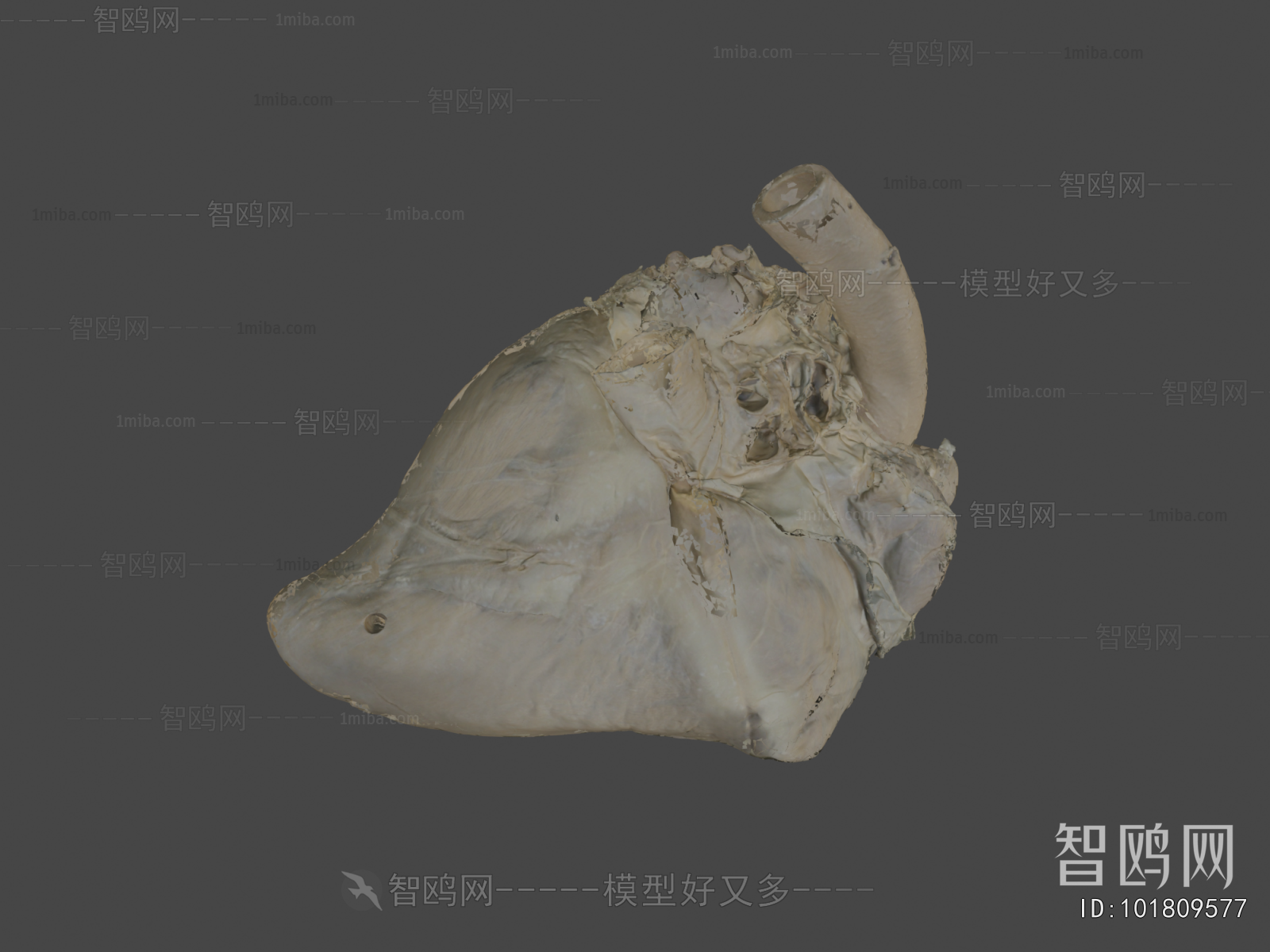 Modern Medical Equipment