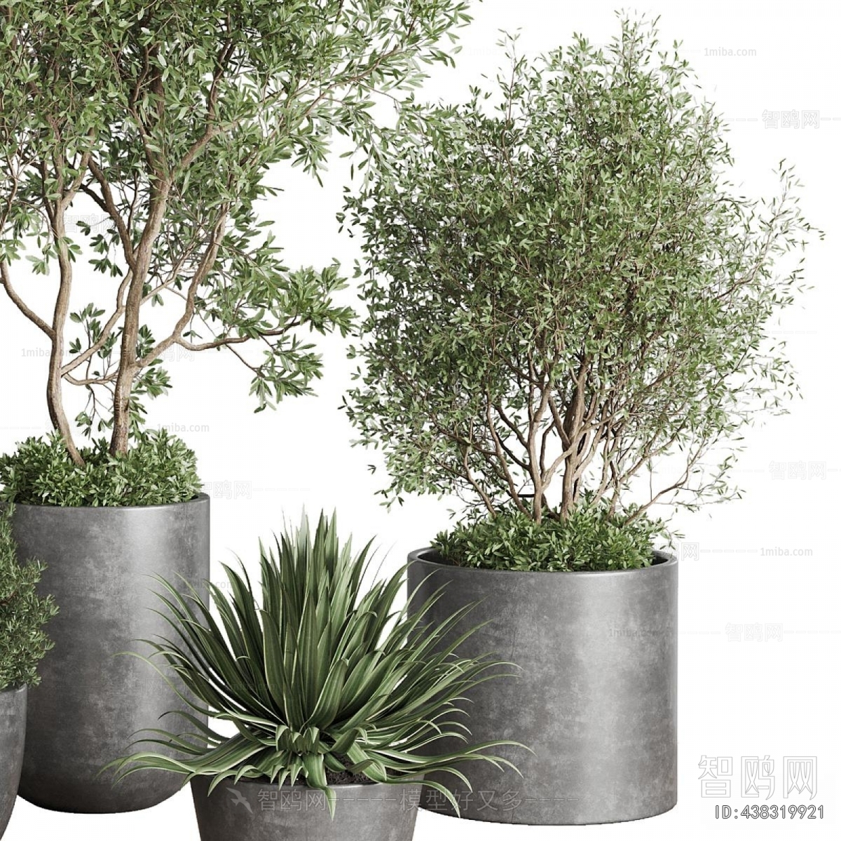 Modern Ground Green Plant Potted Plants
