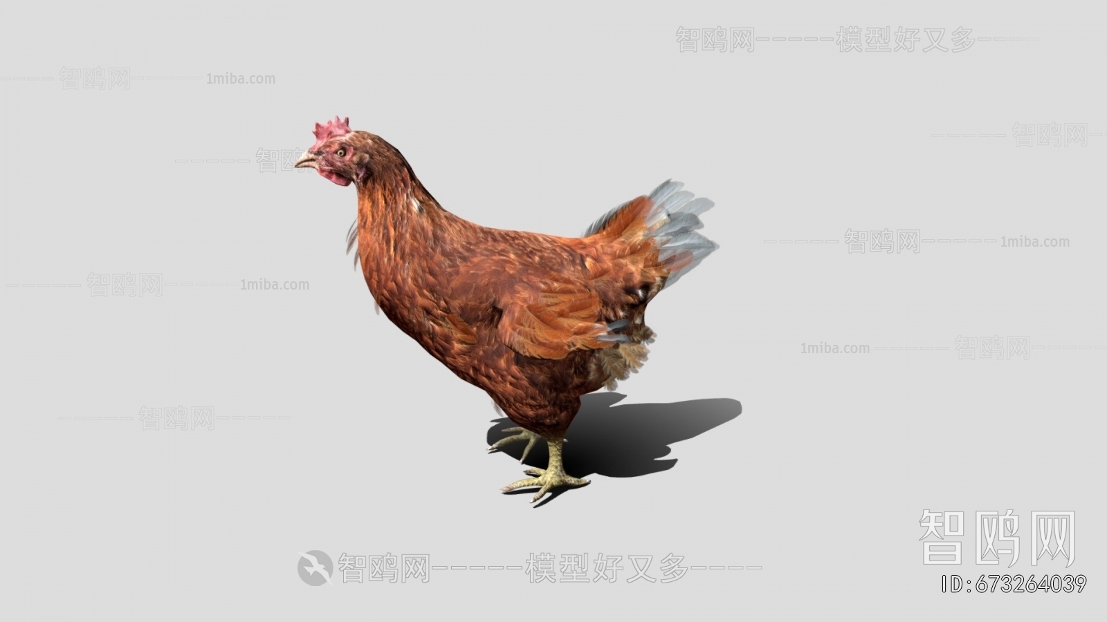 Modern Poultry Animal