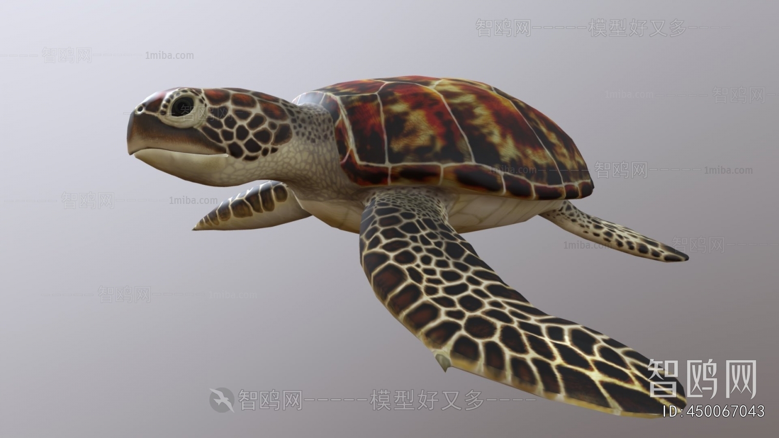 Modern Animal