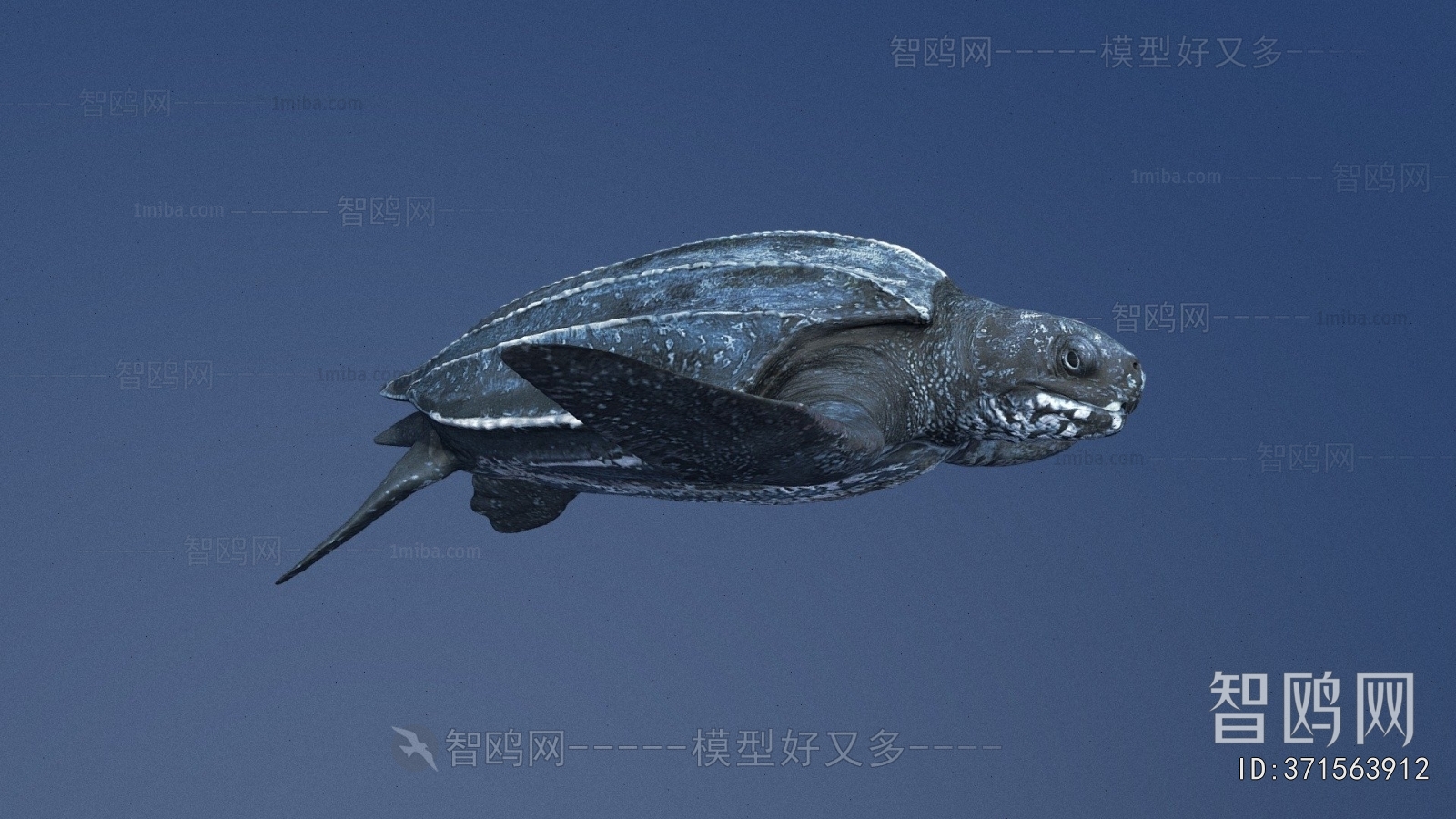 Modern Aquatic Animals