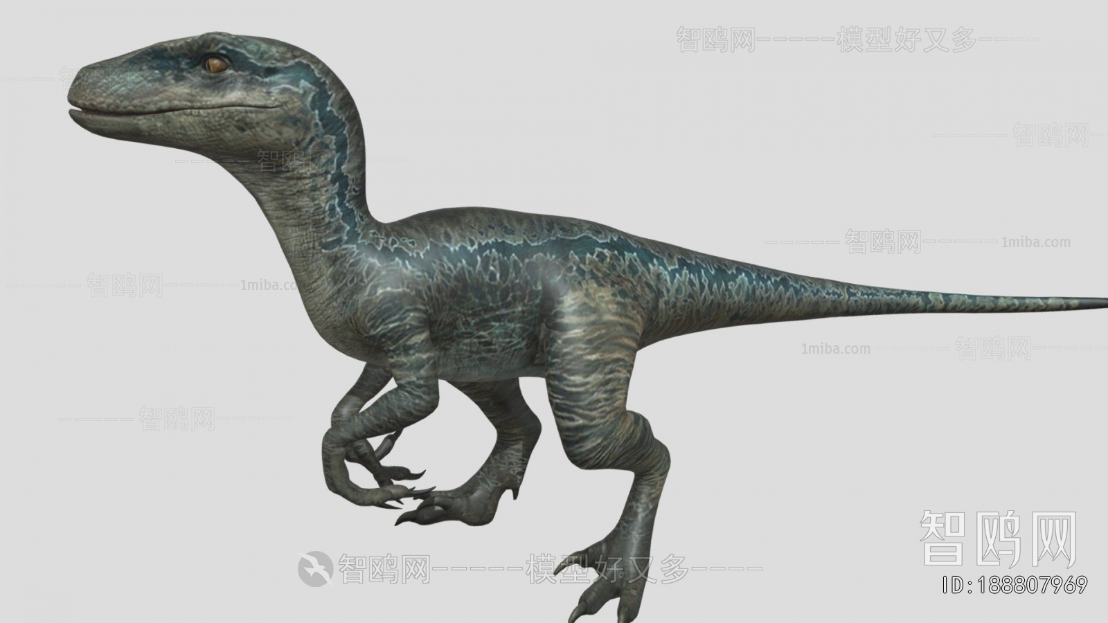 Modern Other Animals