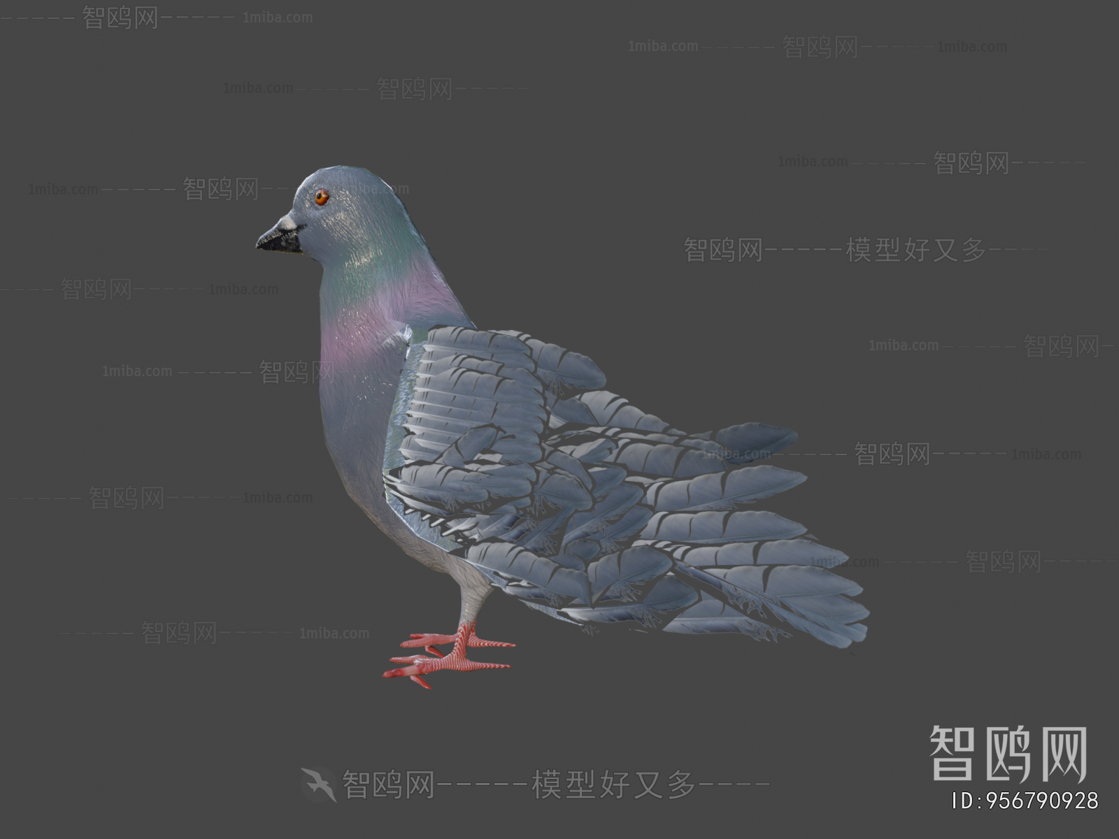 Modern Flying Animals