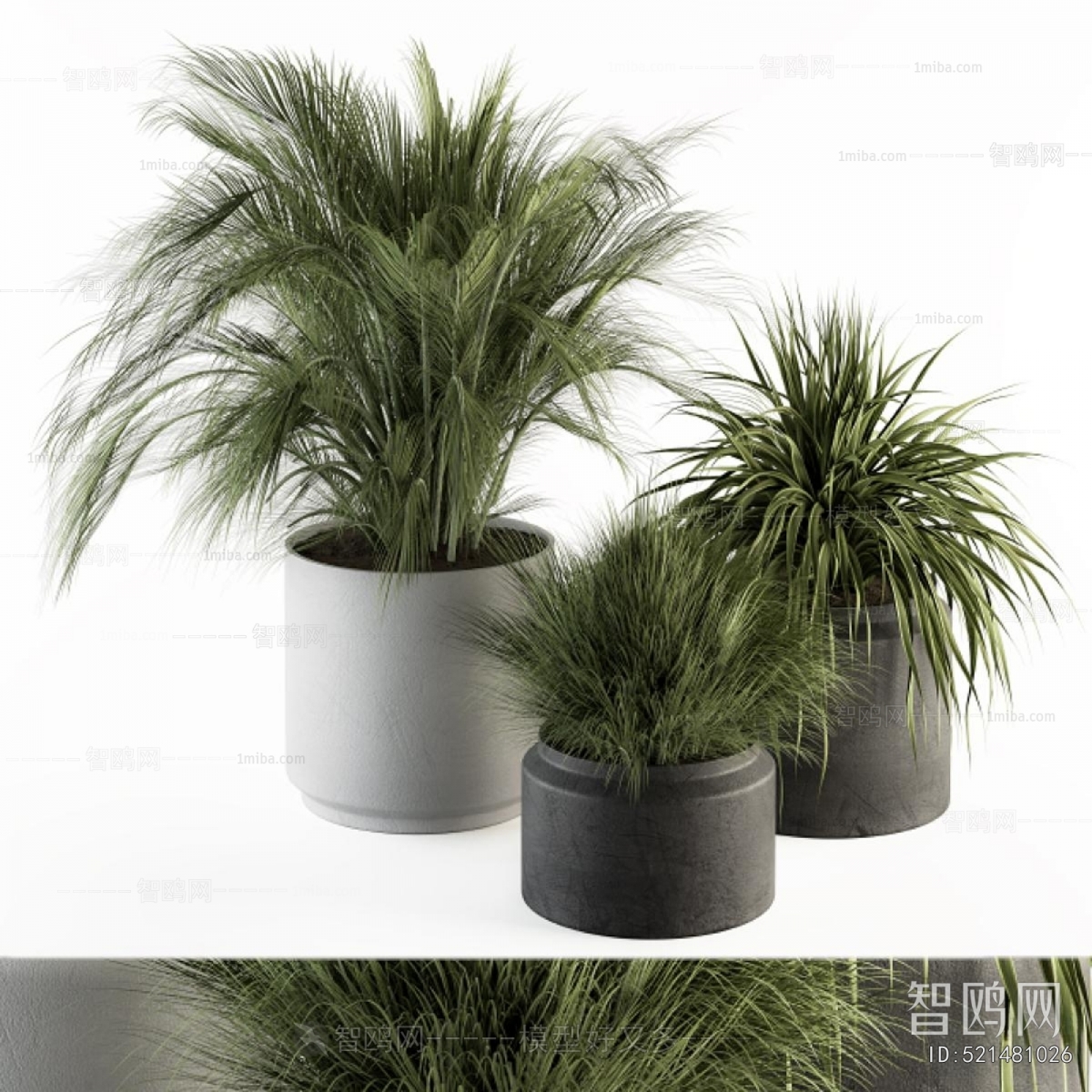 Modern Ground Green Plant Potted Plants