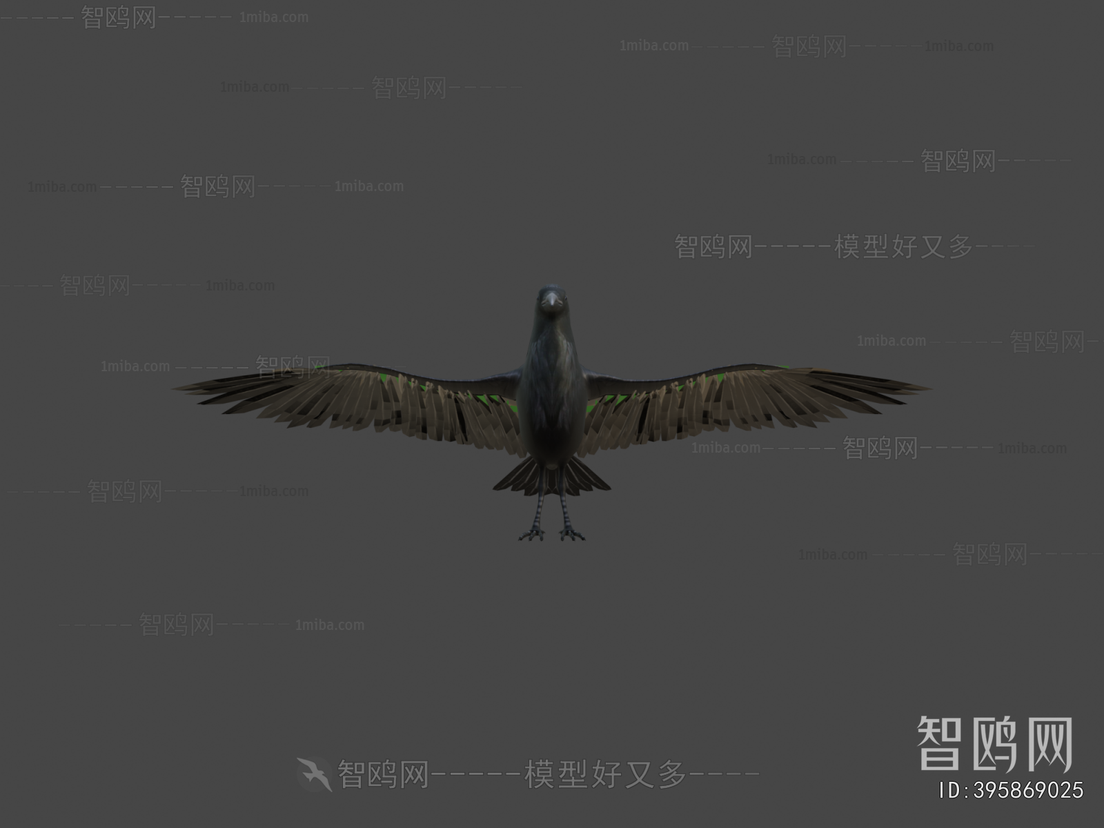 Modern Flying Animals