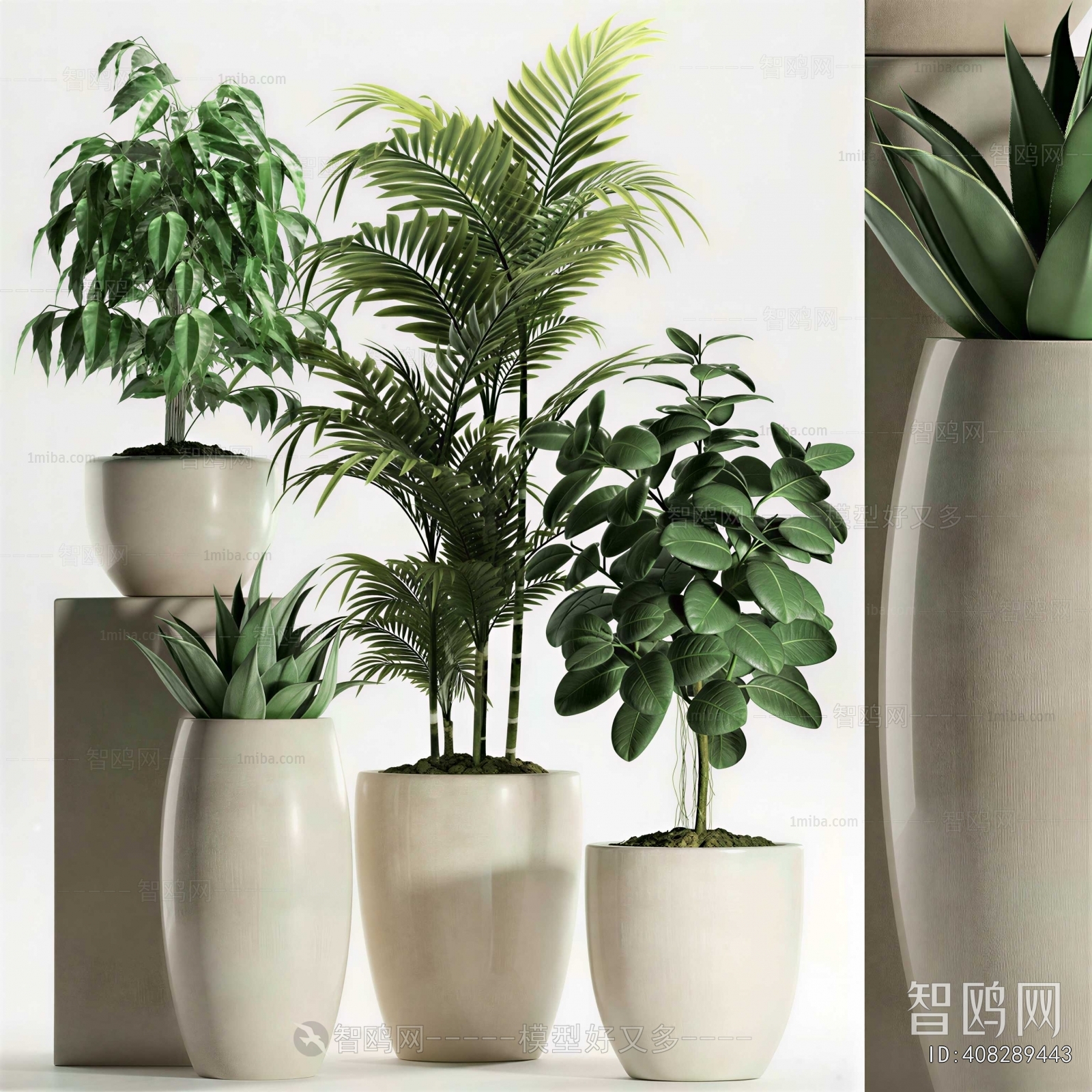 Modern Ground Green Plant Potted Plants