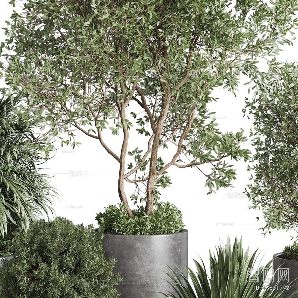 Modern Ground Green Plant Potted Plants