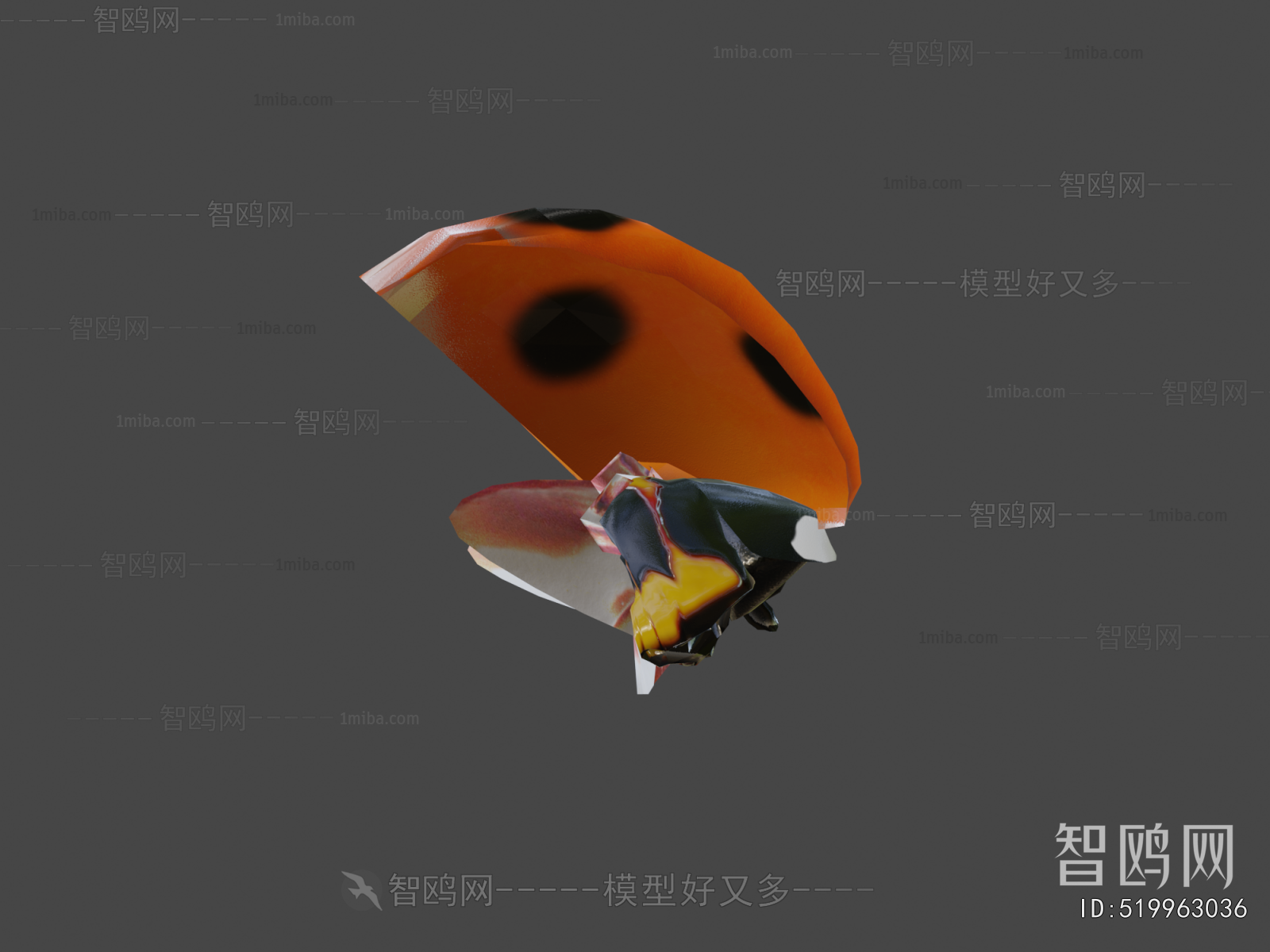 Modern Flying Animals