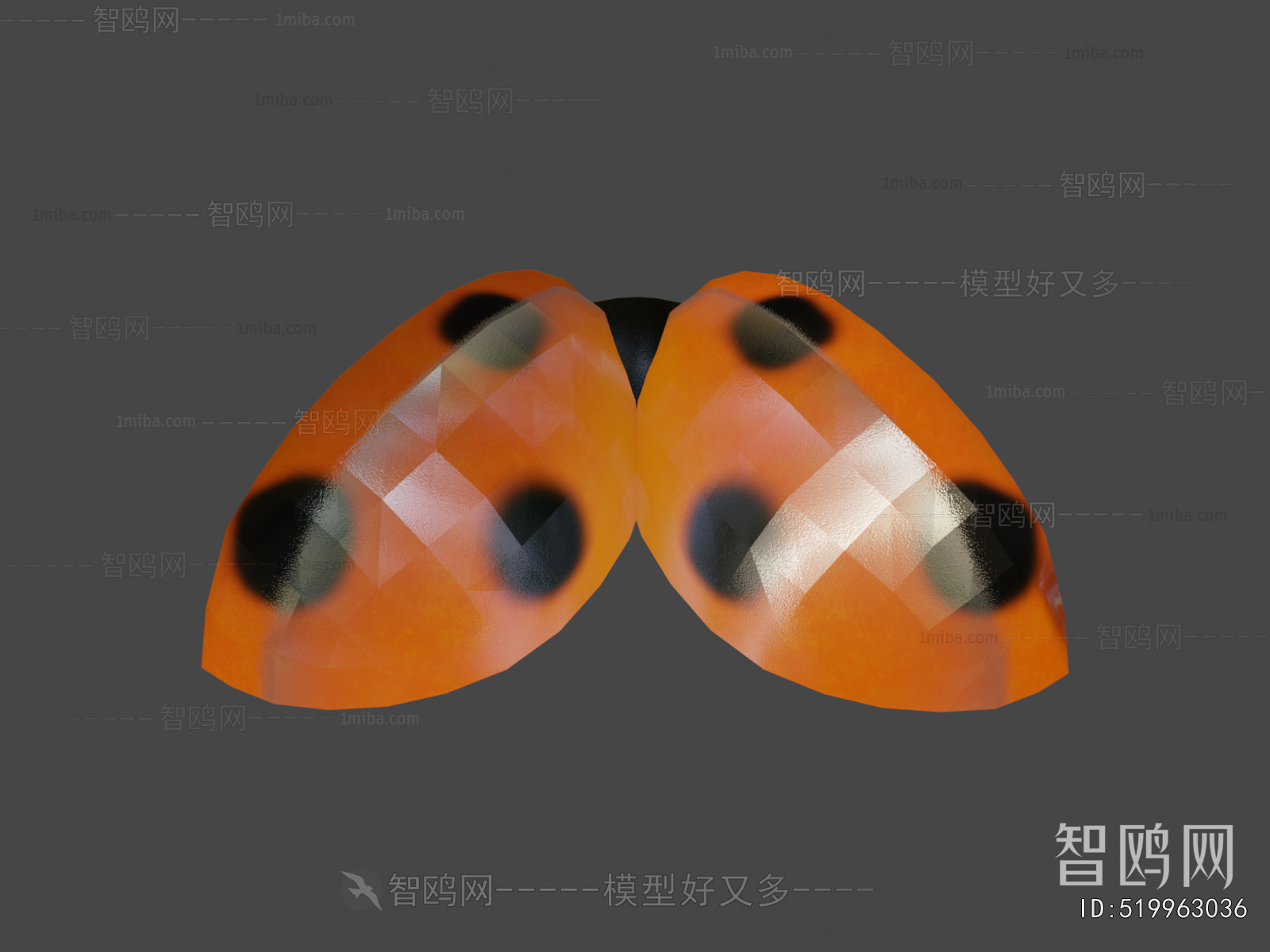 Modern Flying Animals