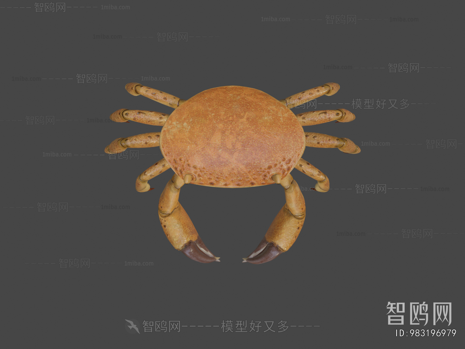 Modern Aquatic Animals