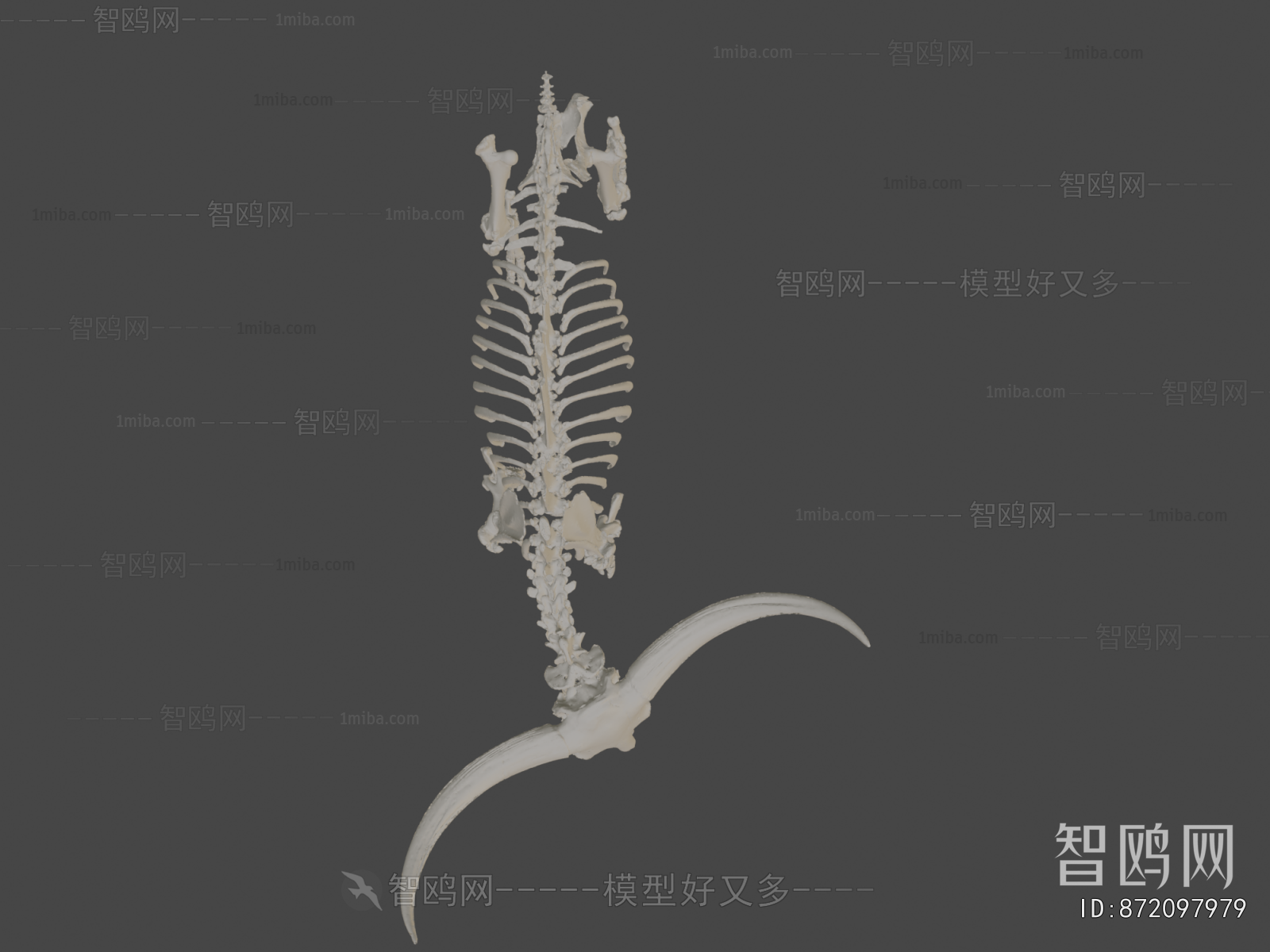 Modern Medical Equipment