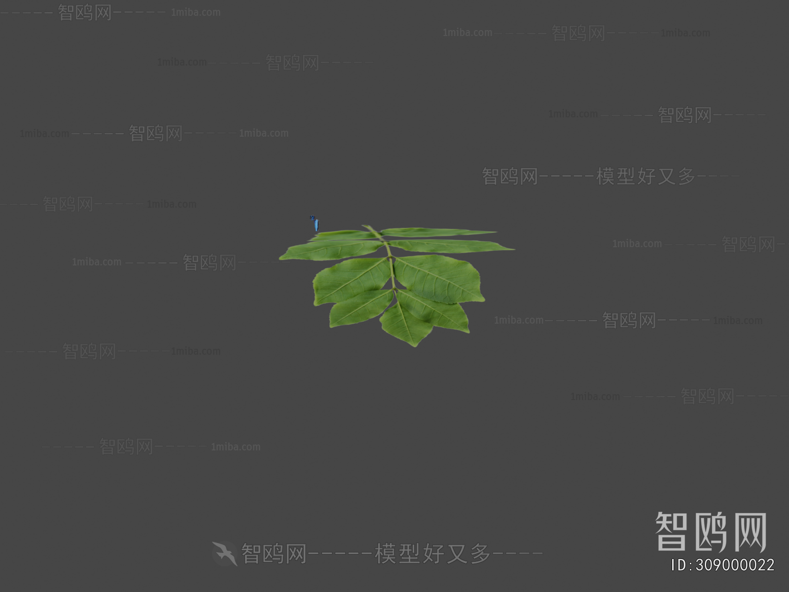 Modern Flying Animals