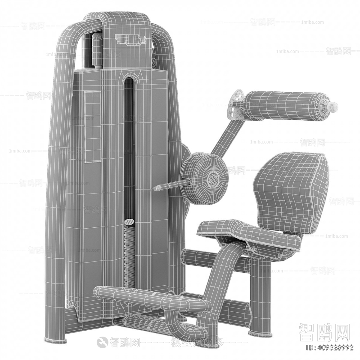 Modern Fitness Equipment