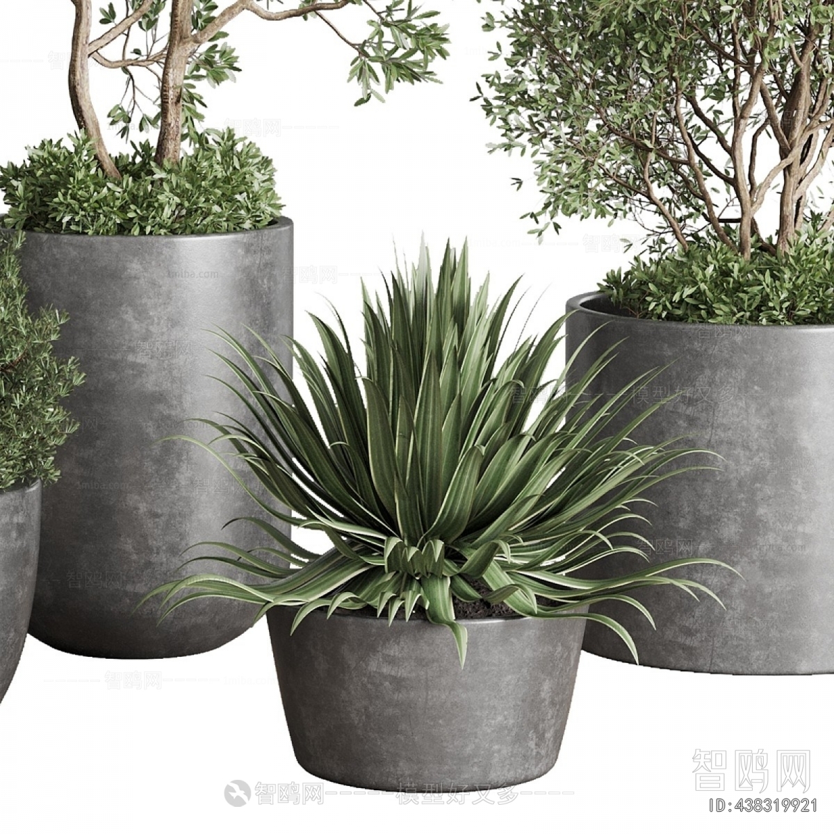 Modern Ground Green Plant Potted Plants
