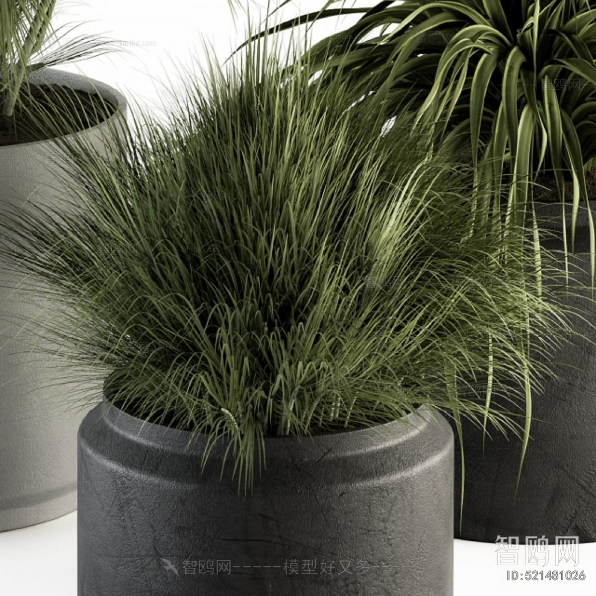 Modern Ground Green Plant Potted Plants