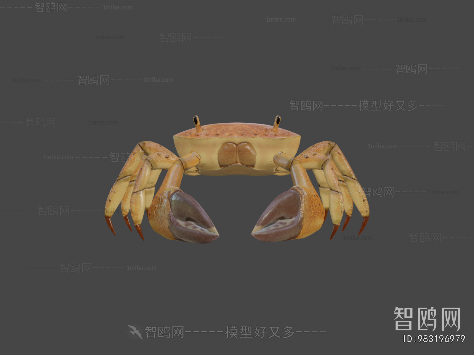 Modern Aquatic Animals