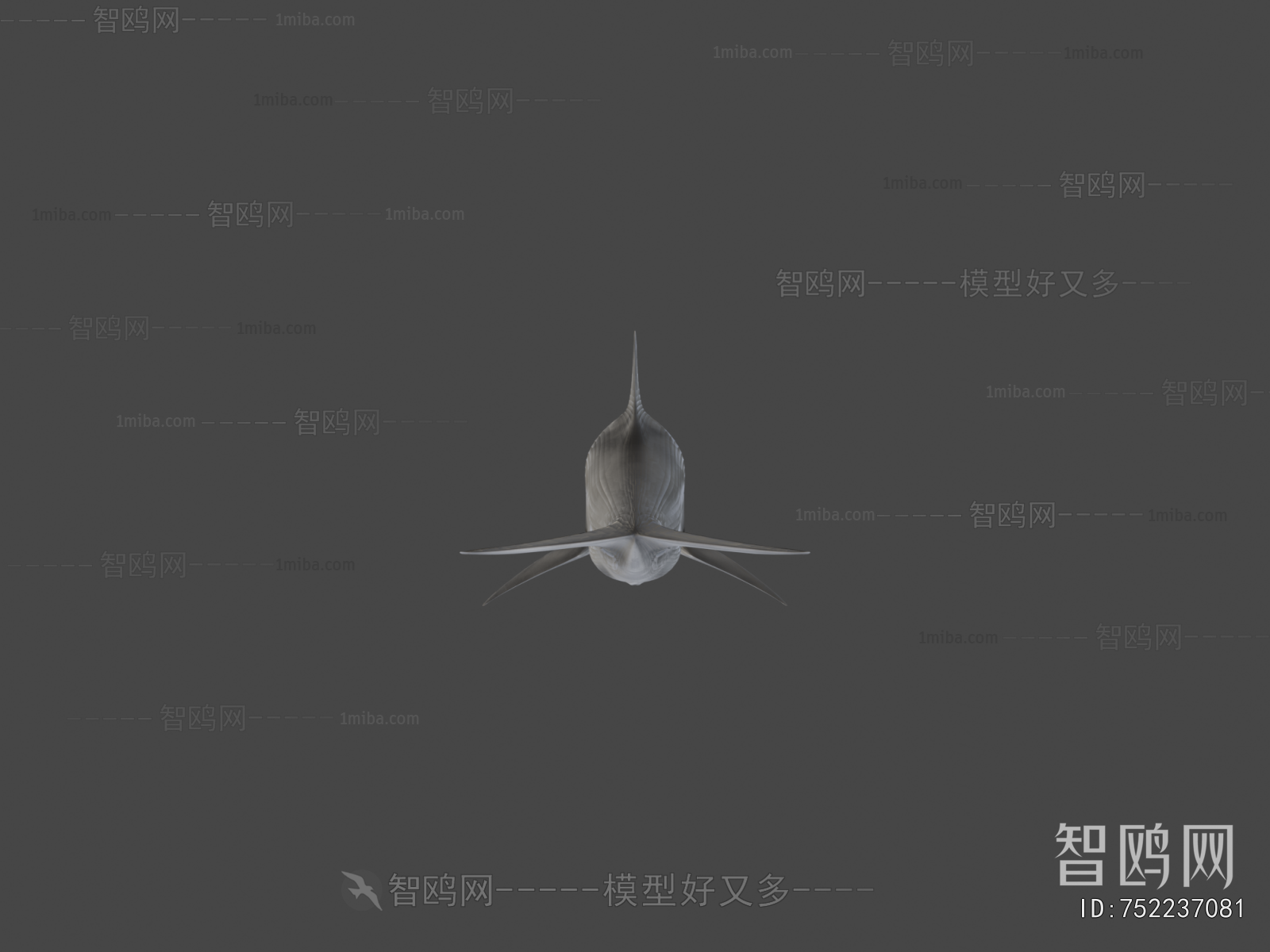 Modern Aquatic Animals